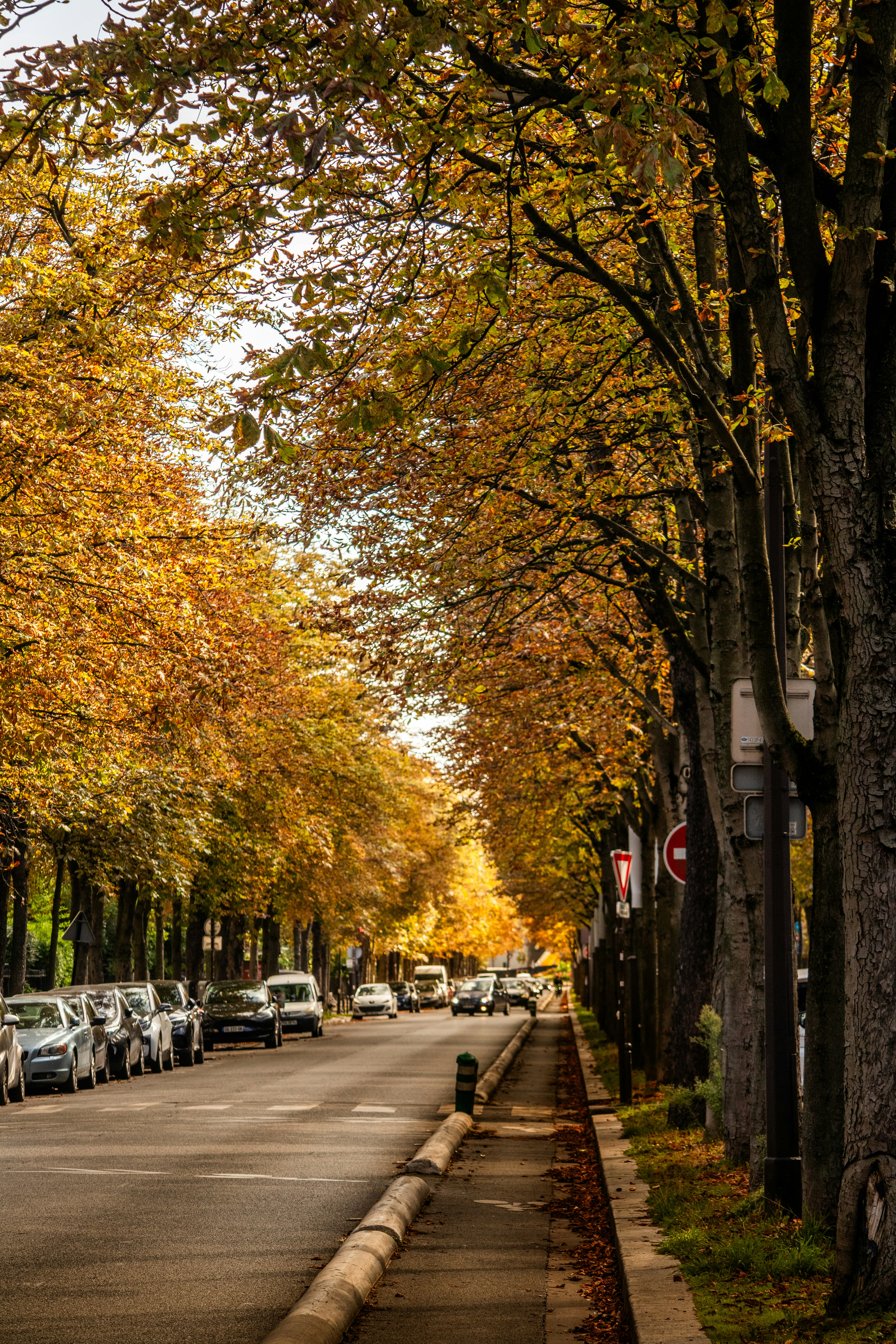 Photo by woomantsing