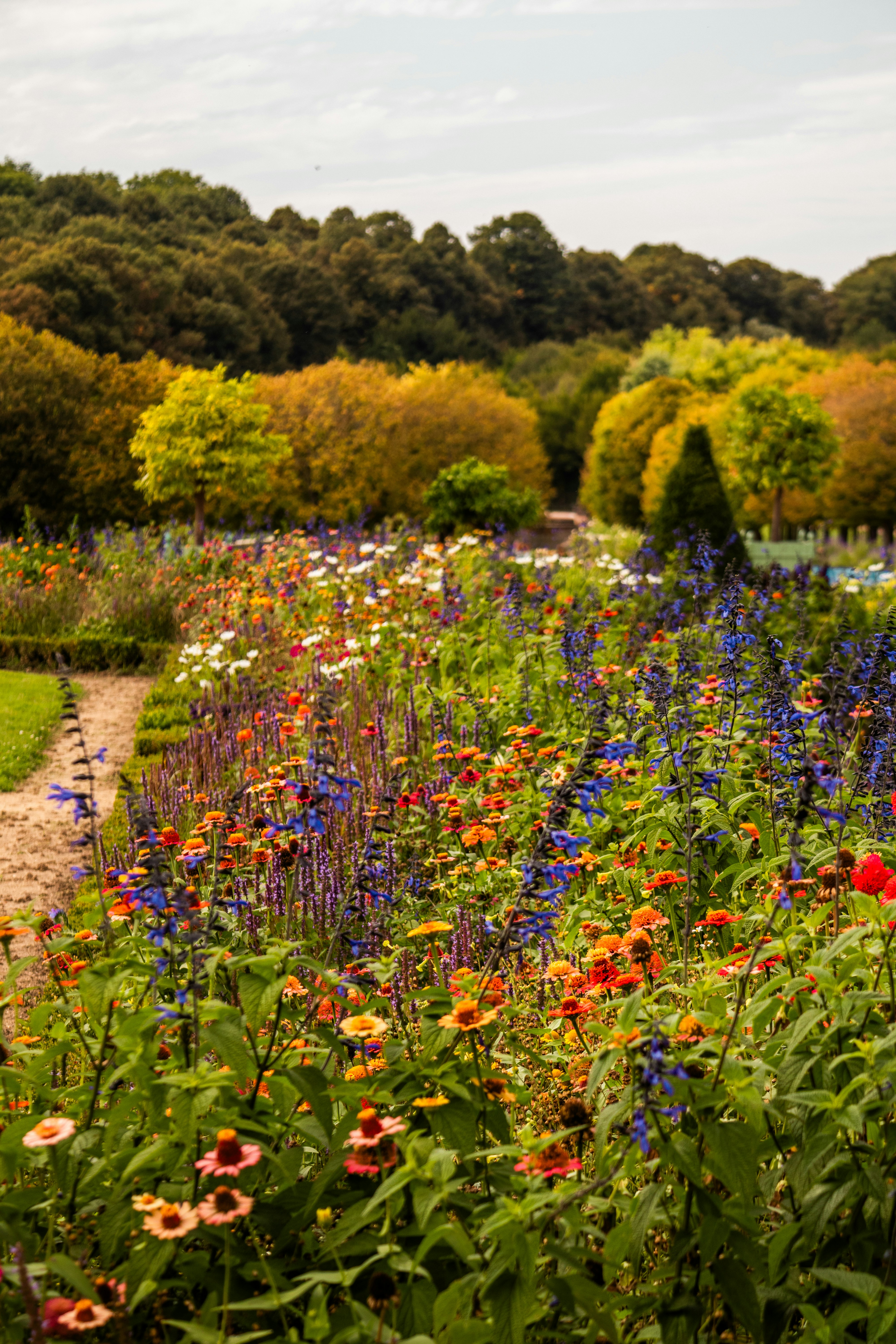 Photo by woomantsing