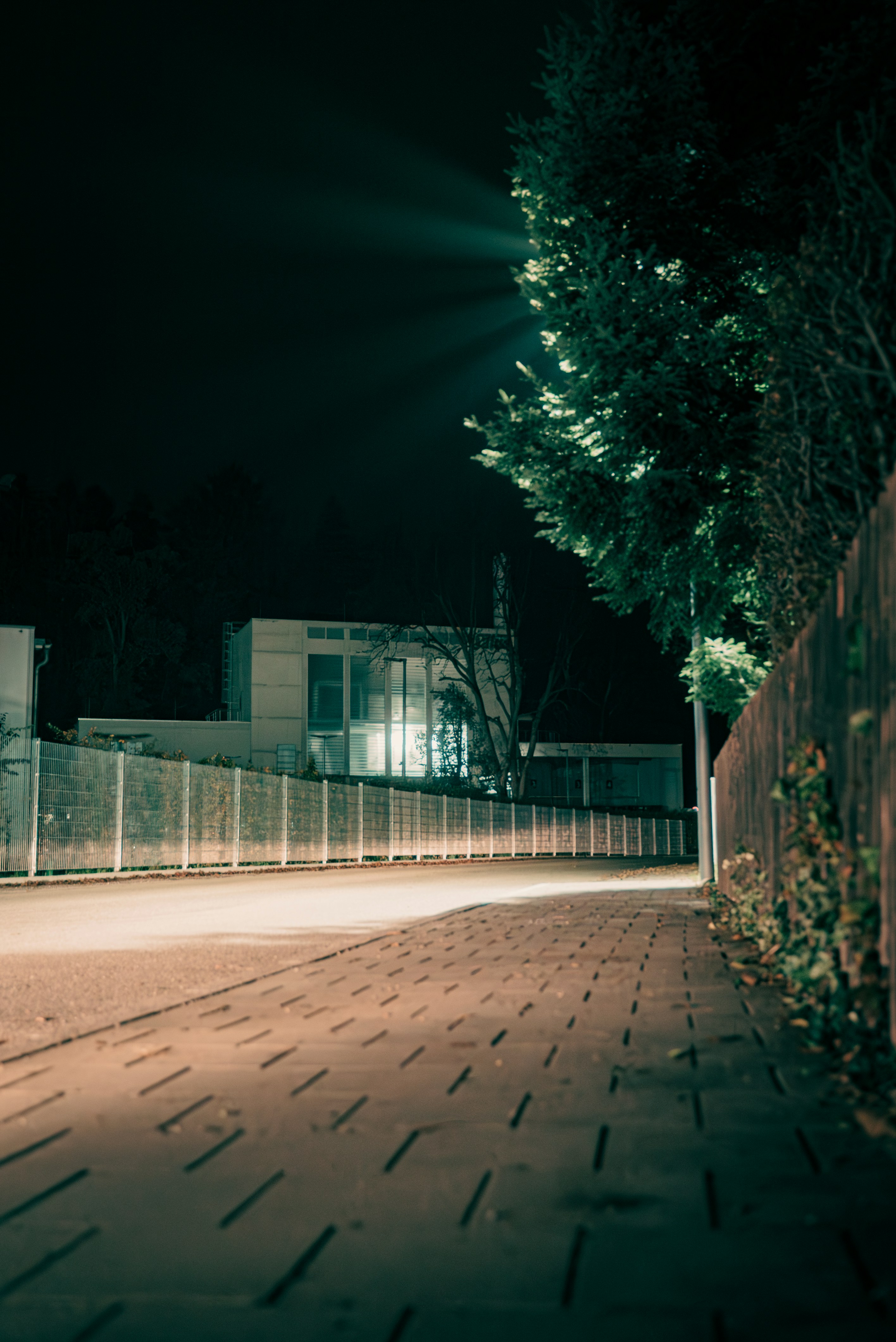 Photo by patrick_von_der_wehd