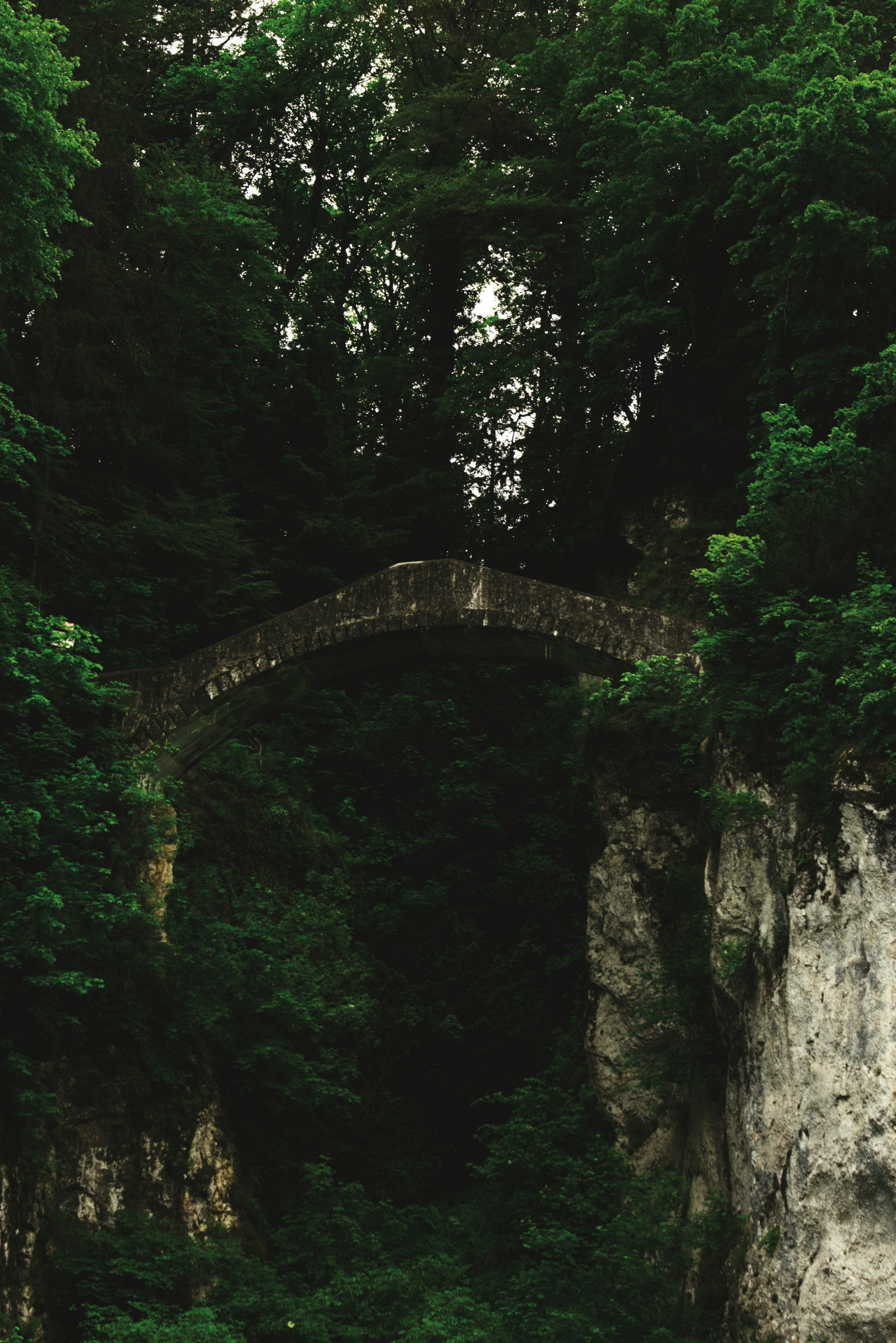 Photo by jonasmitdemb