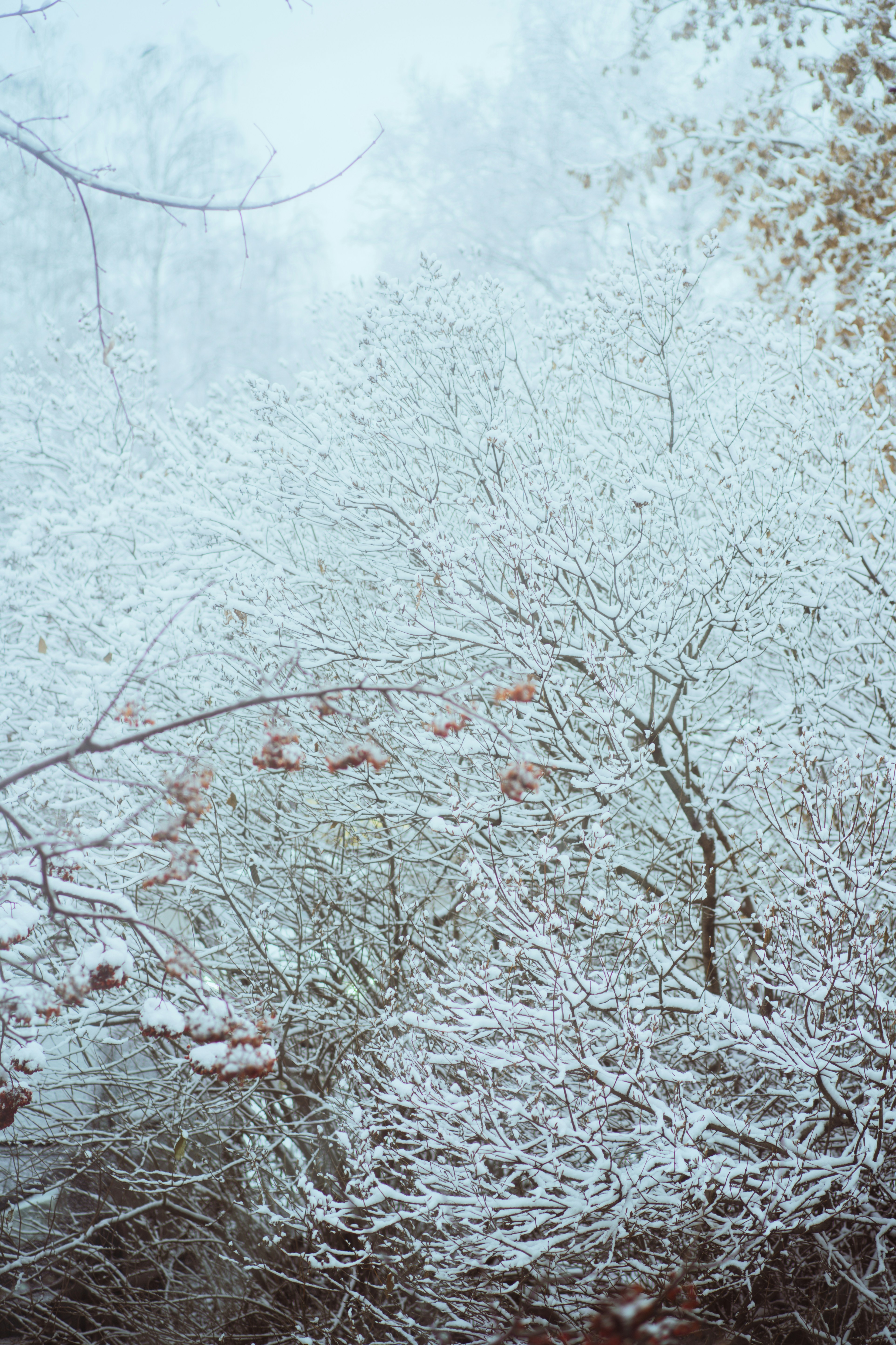 Photo by anamnesis33