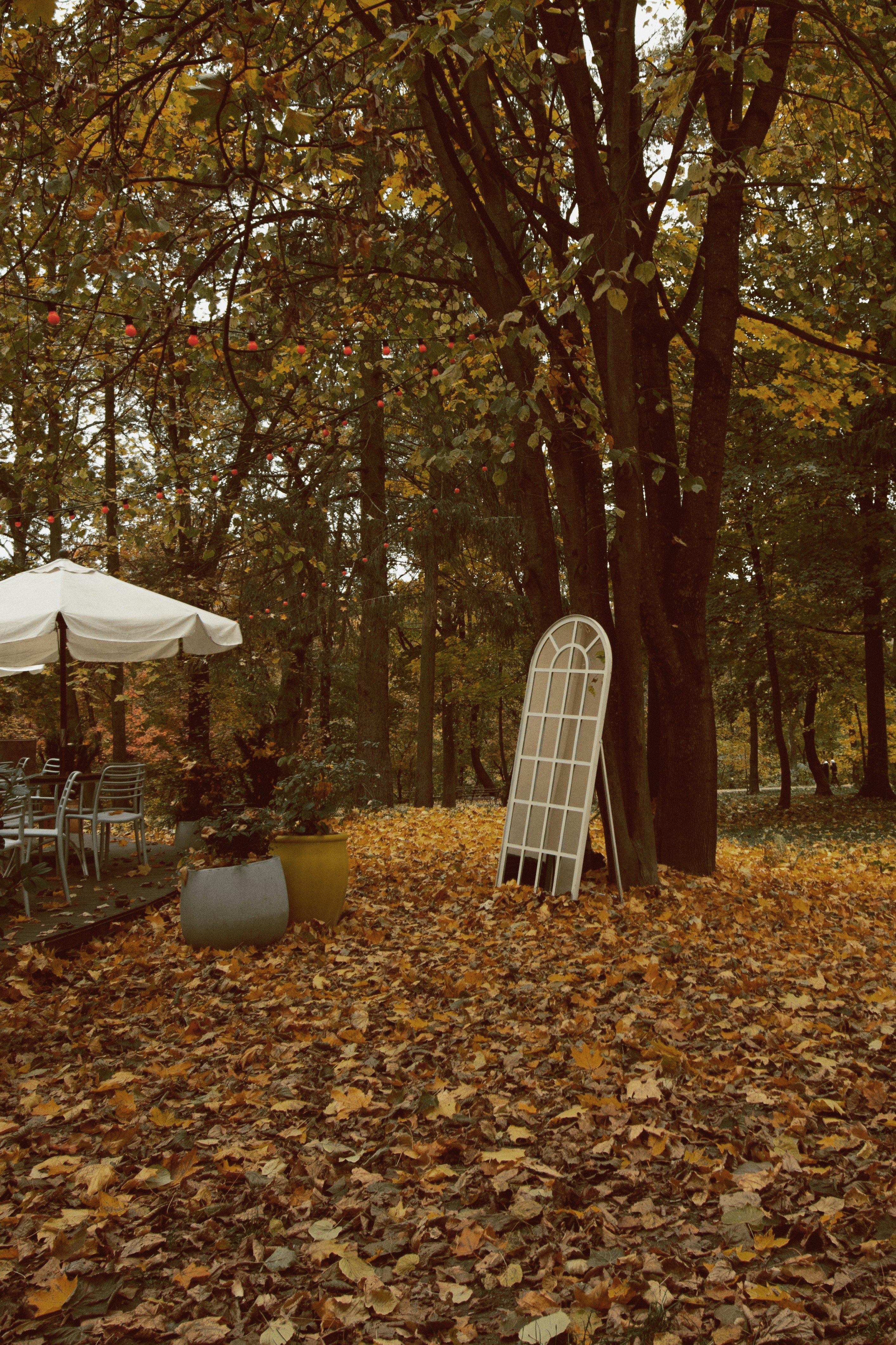 Photo by karynaviktori