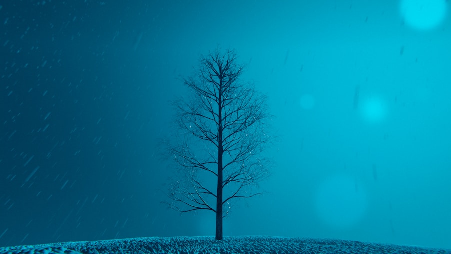 A lone tree on a snowy hill at night
