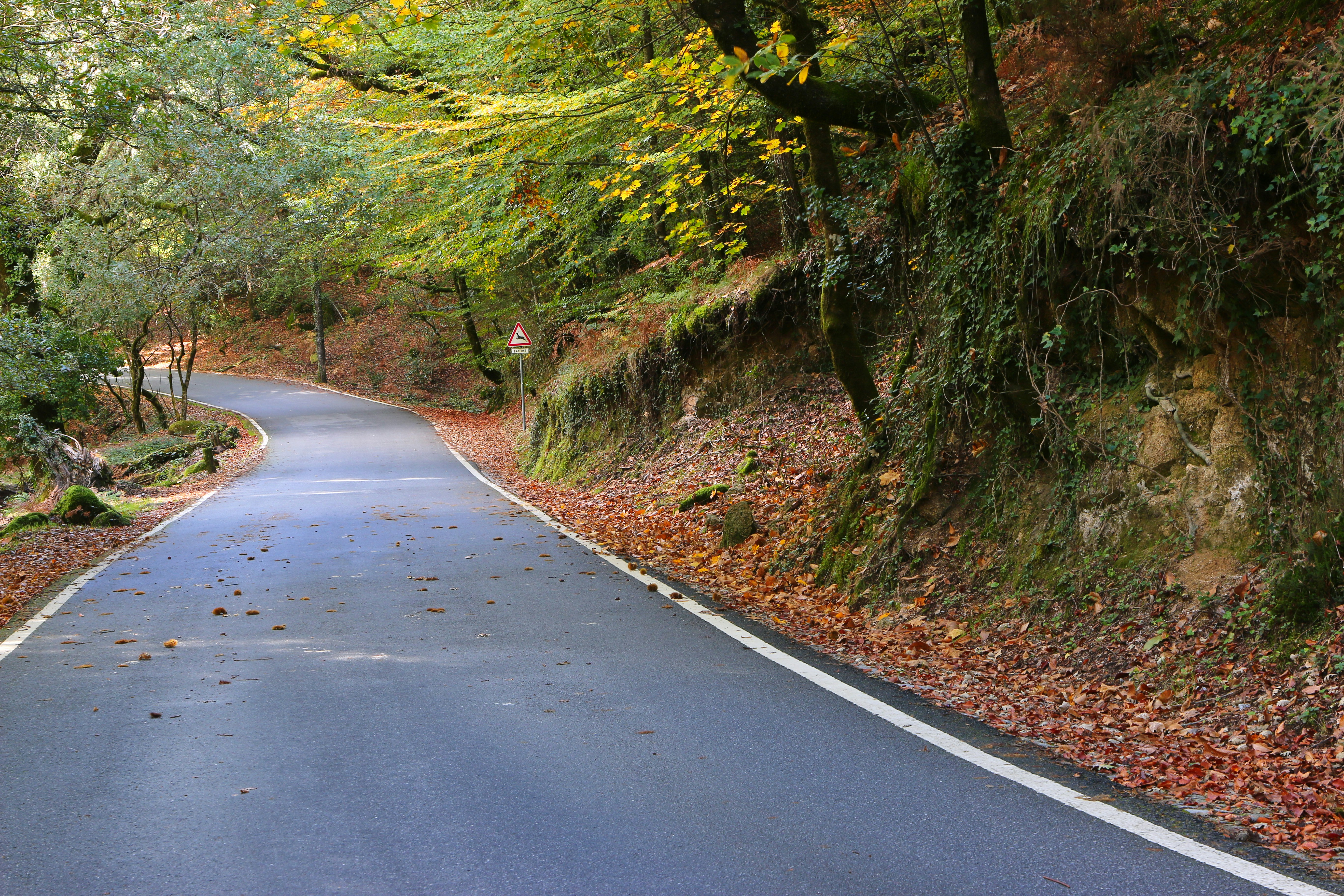 Photo by serranonline