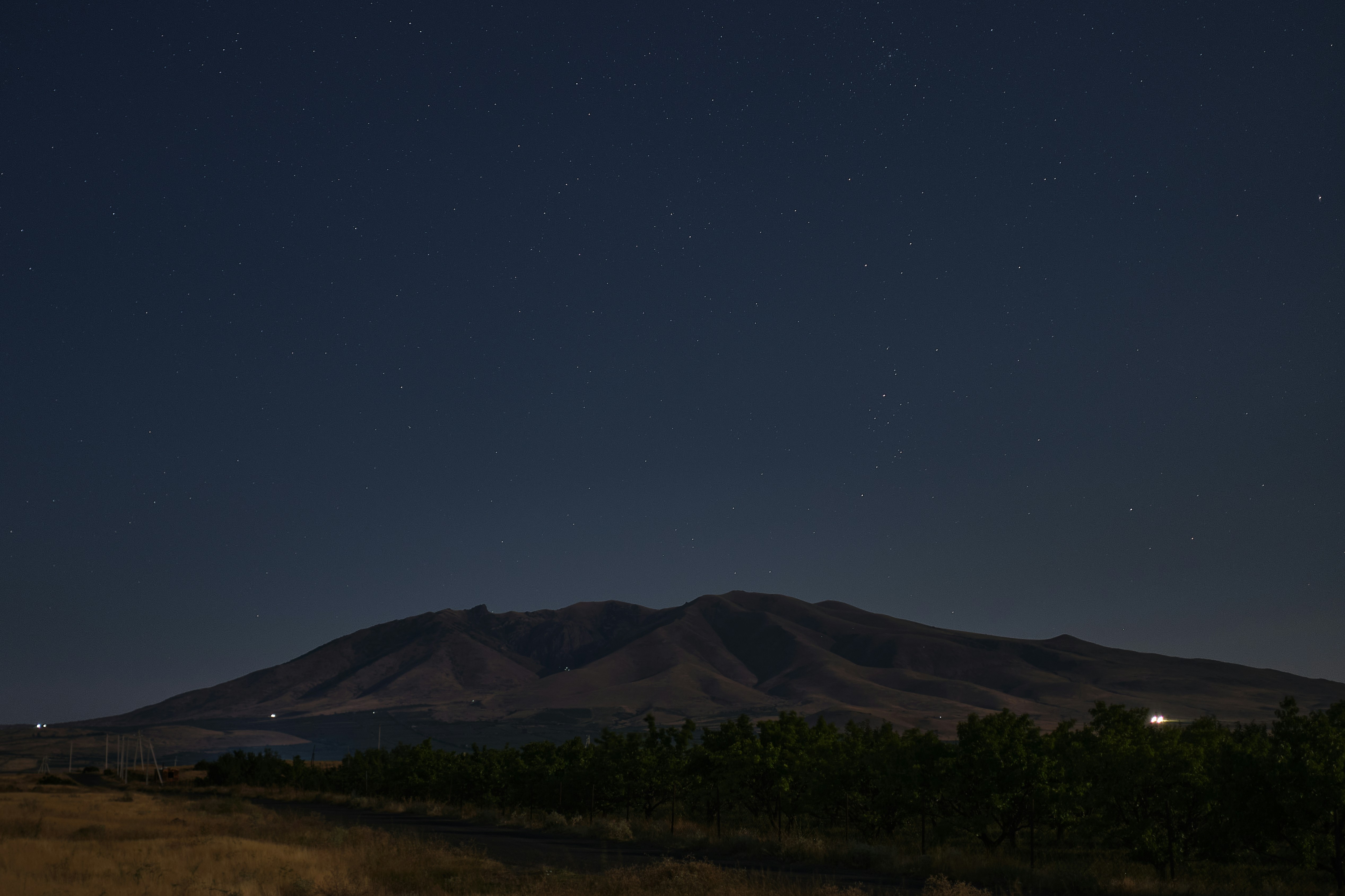 夜の山を背景にした野原