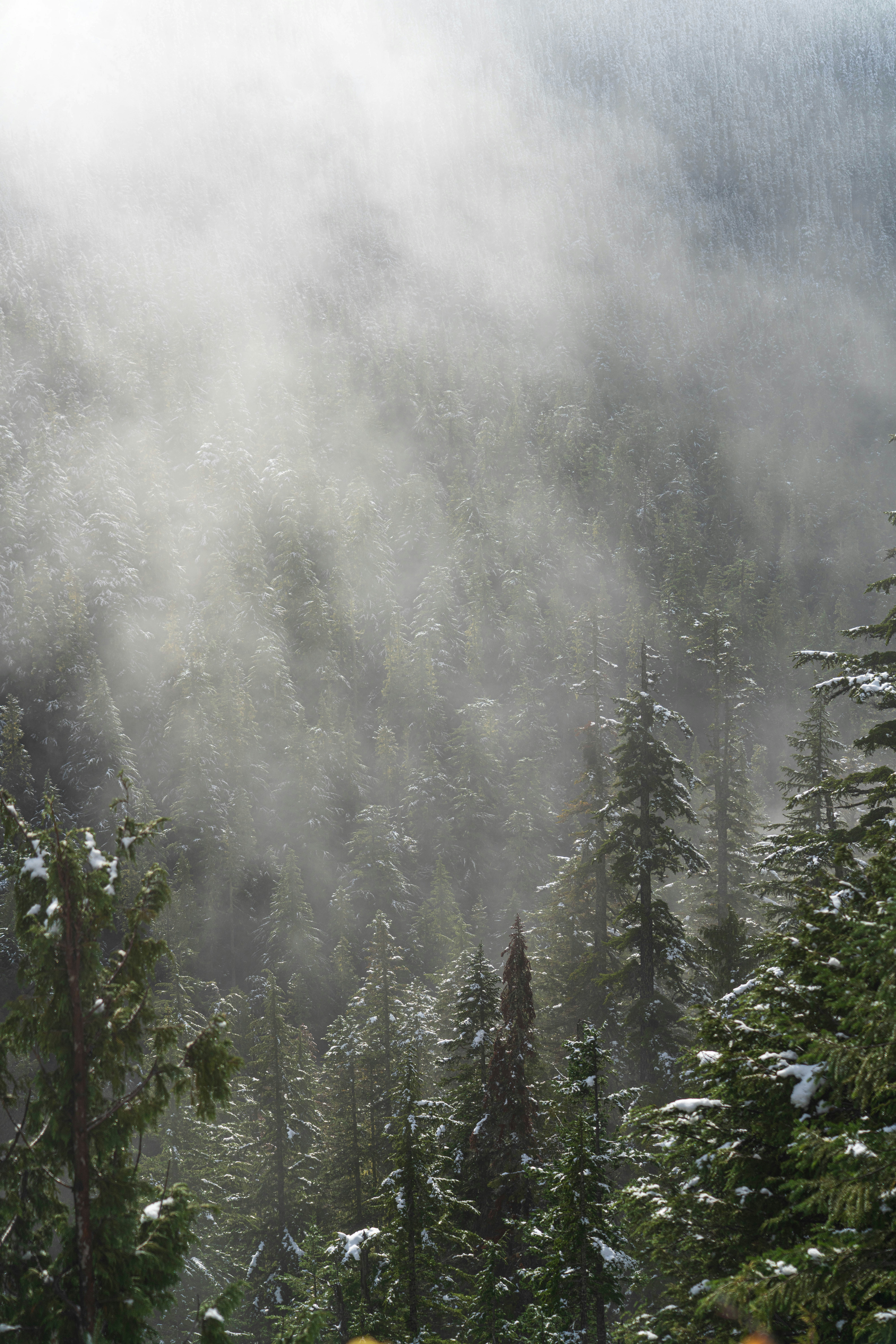 Photo by anton_lammert