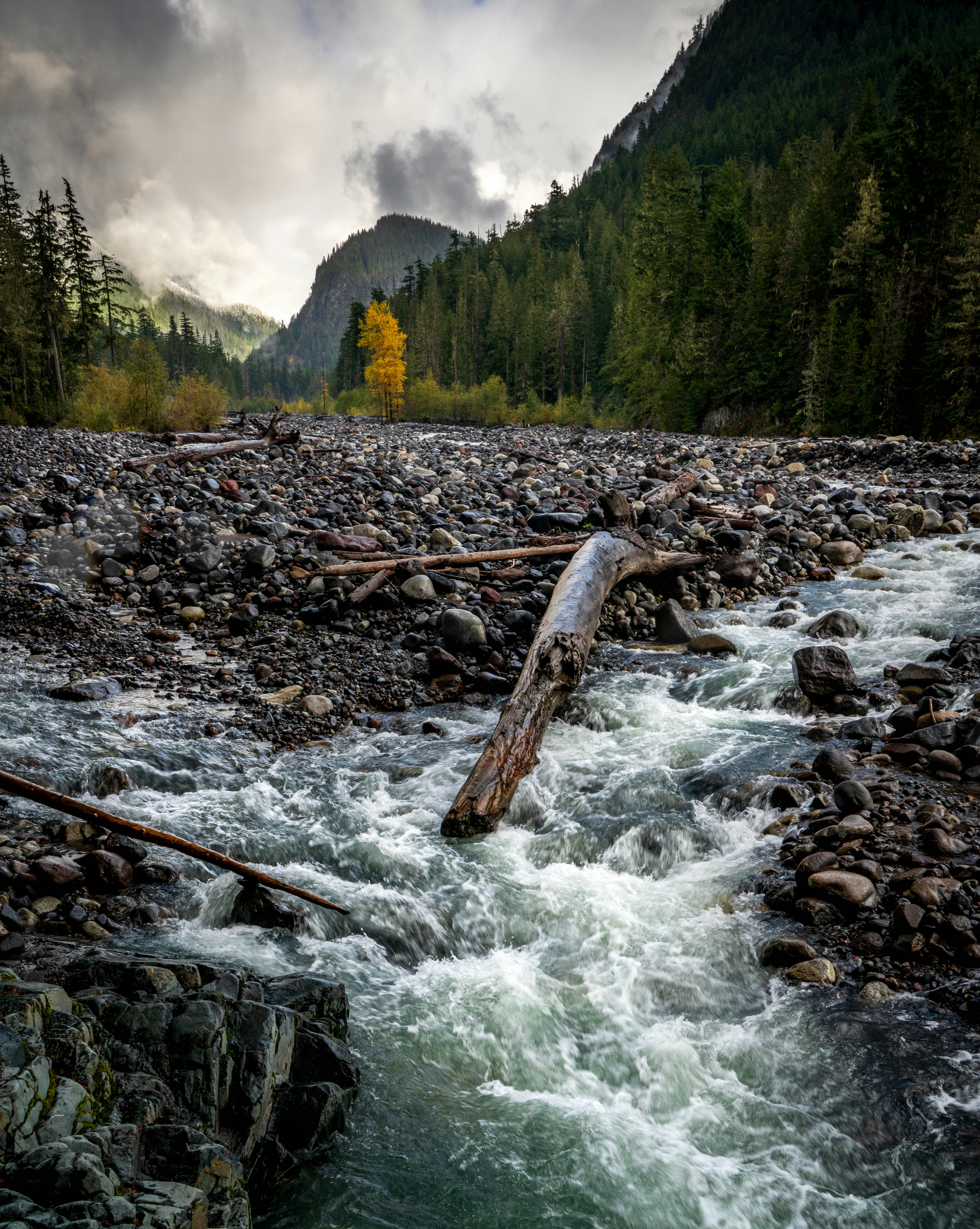 Photo by anton_lammert