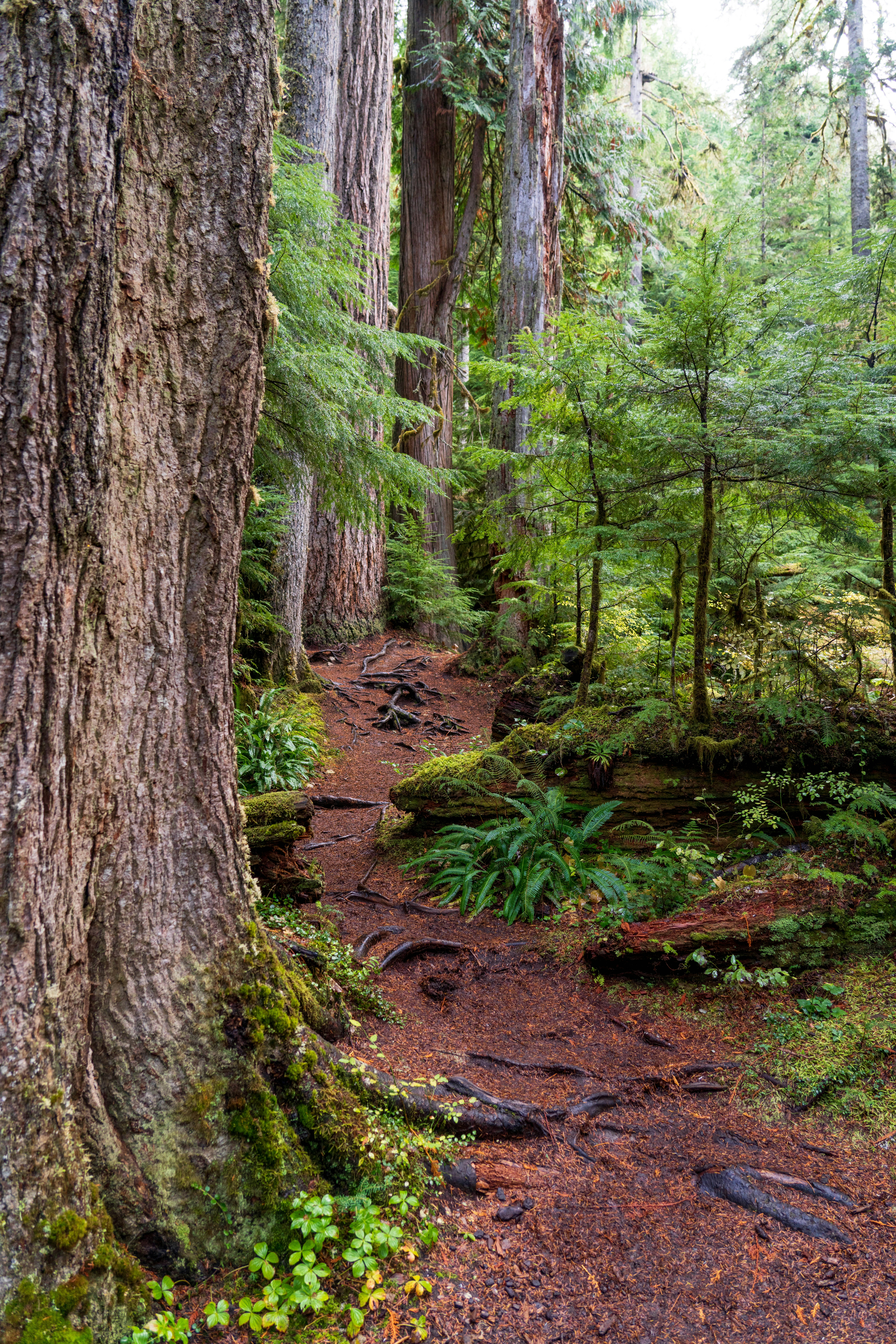 Photo by anton_lammert