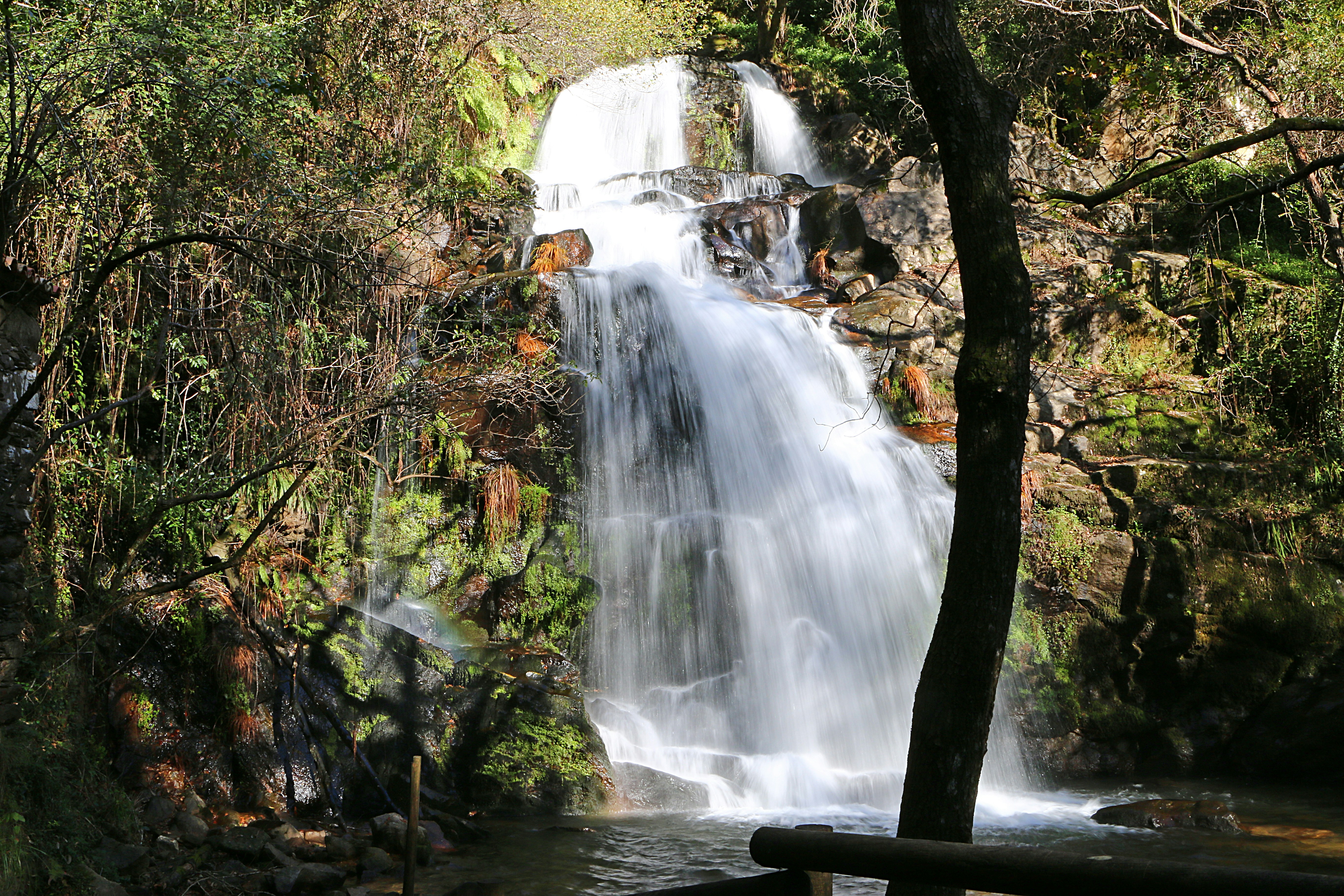 A waterfall in the middle of a forest