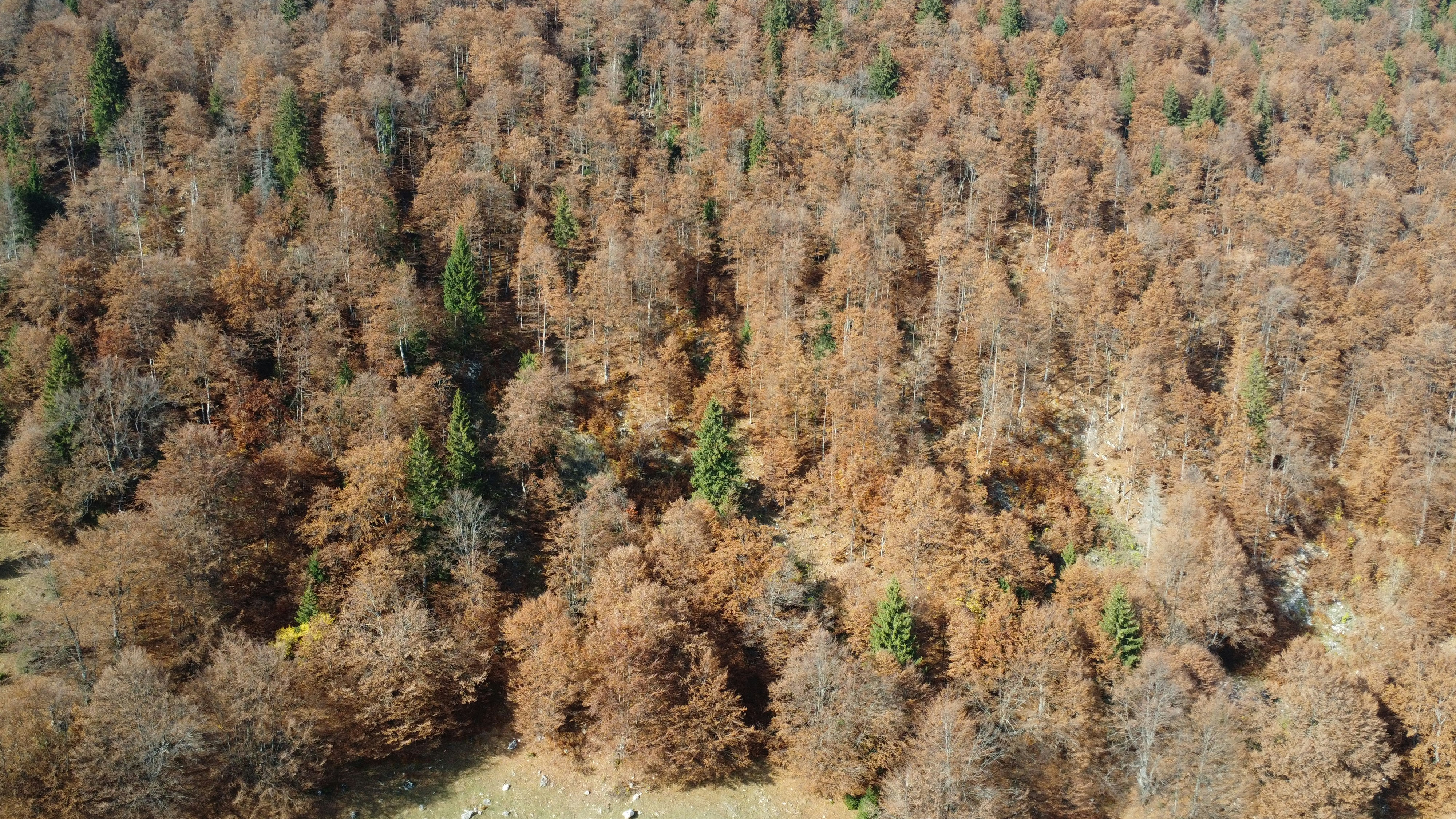 Photo by stefansworld