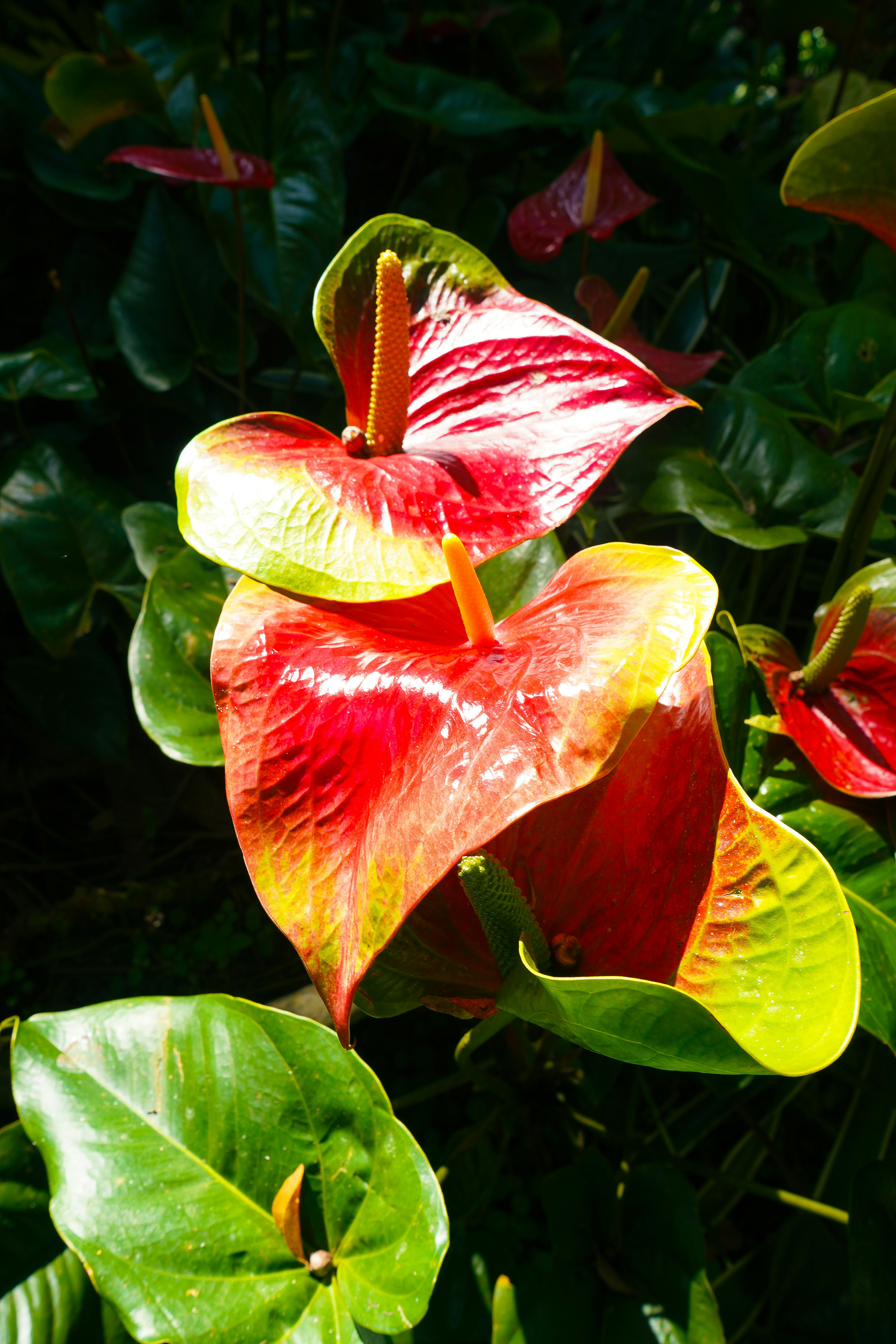 Photo by exileartisan