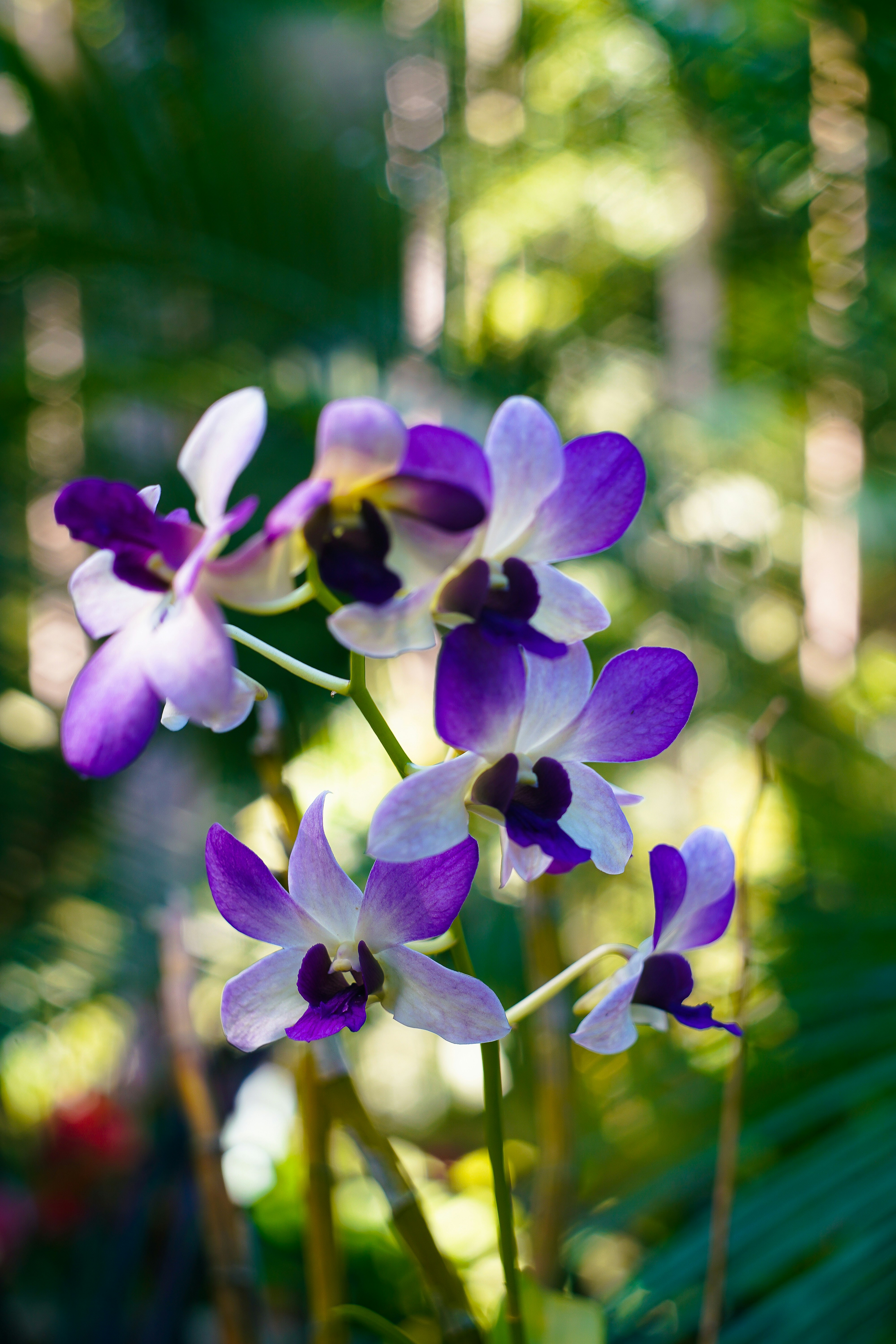 Photo by exileartisan