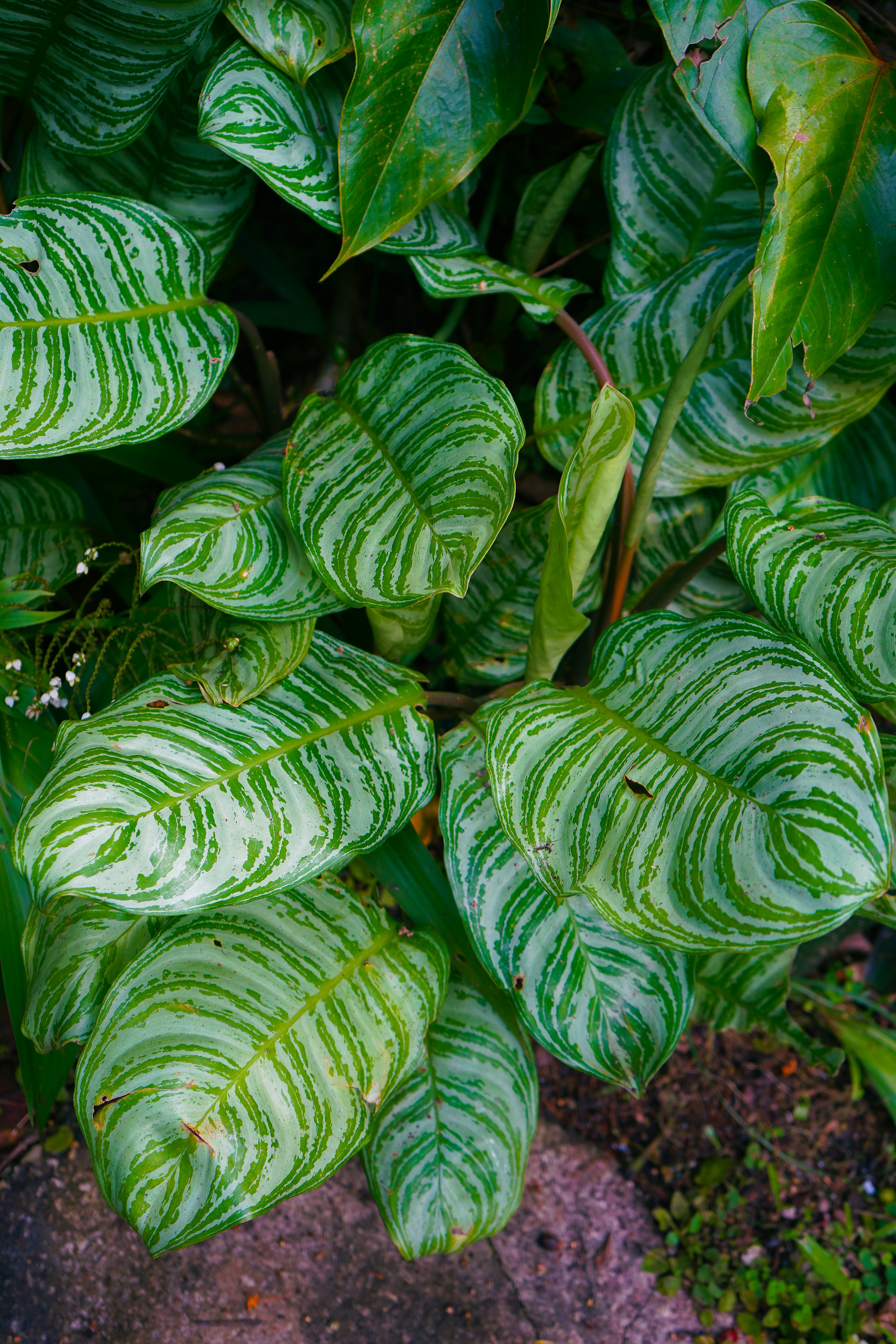 Photo by exileartisan