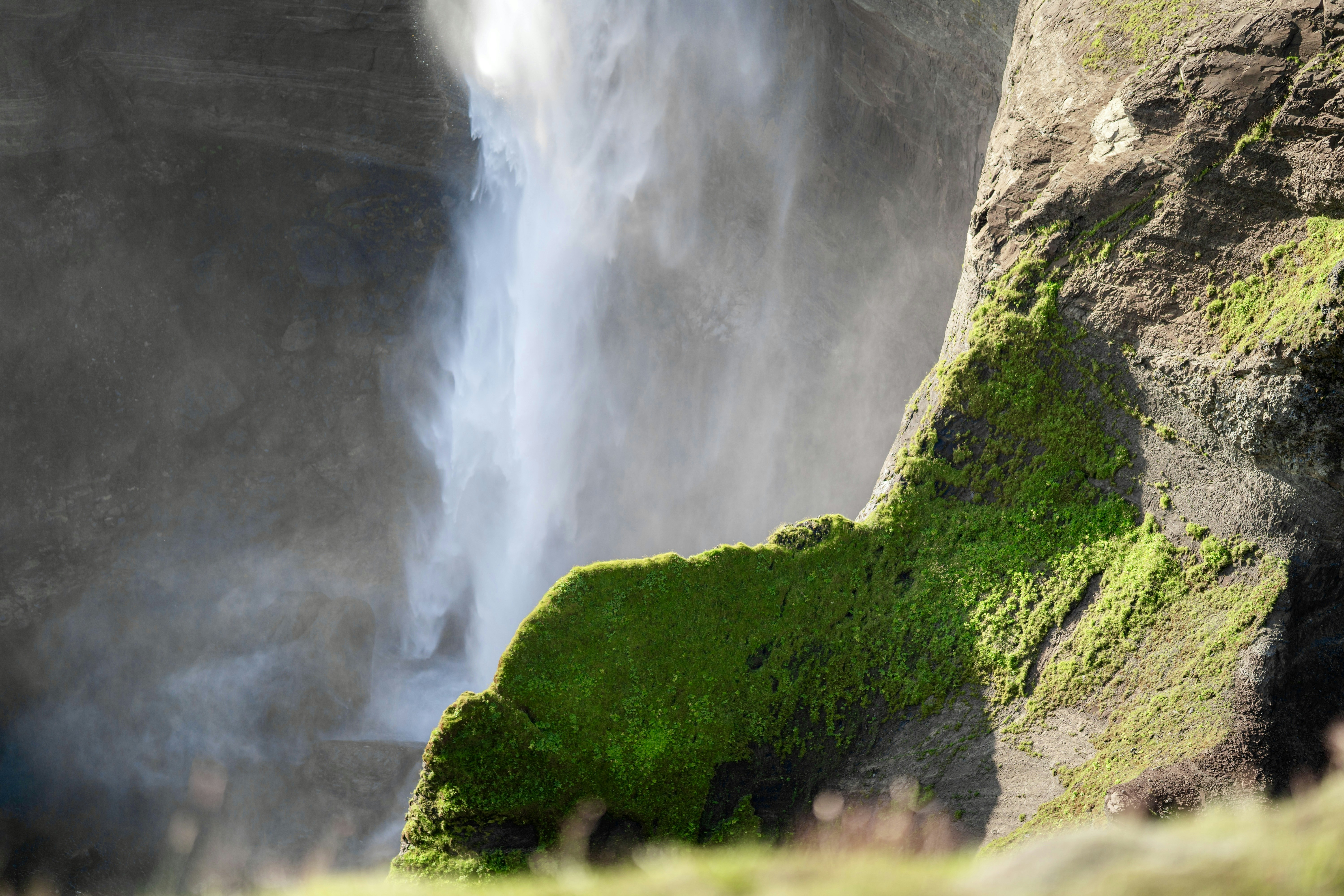 Photo by spensersembrat