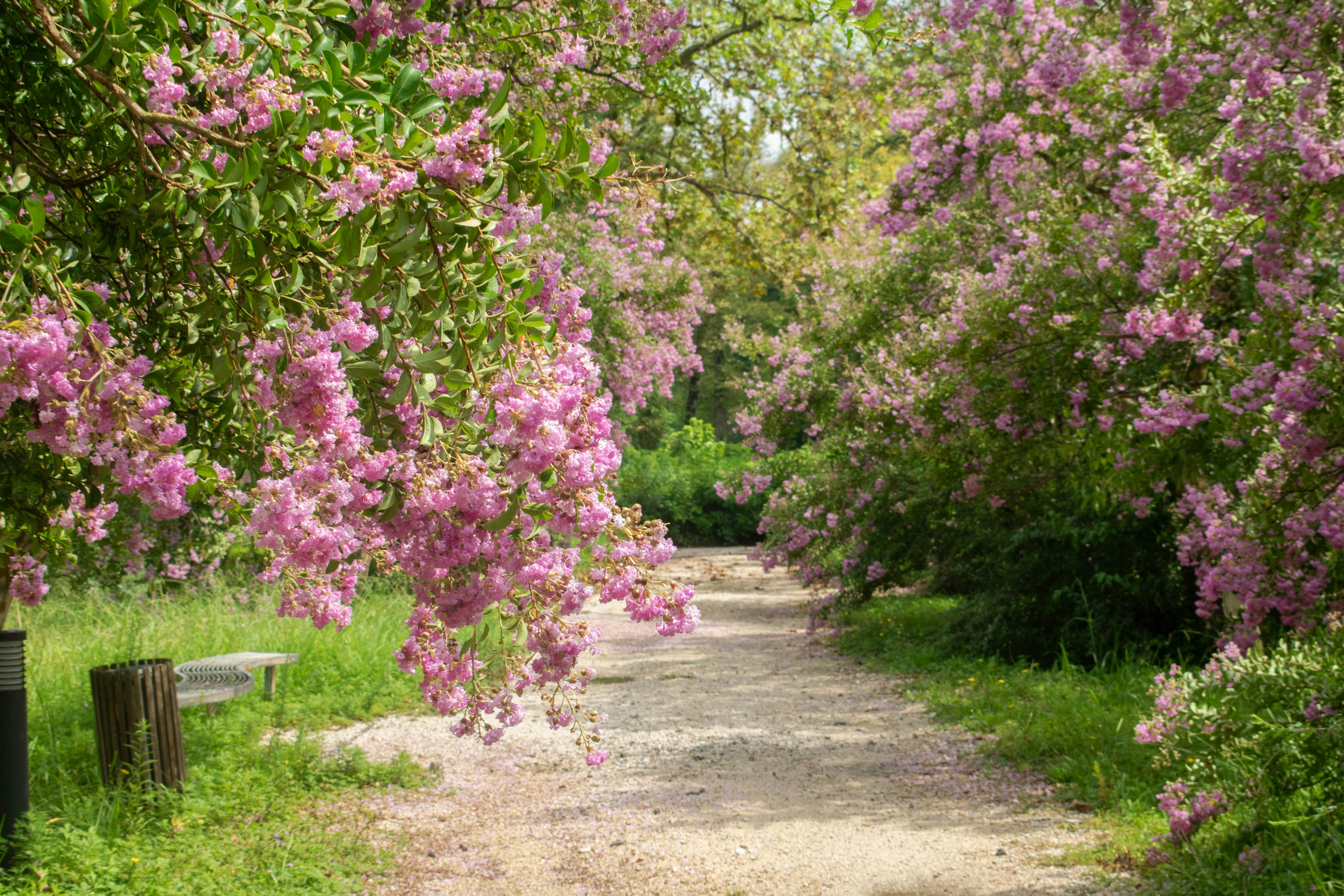 Photo by alexandre13