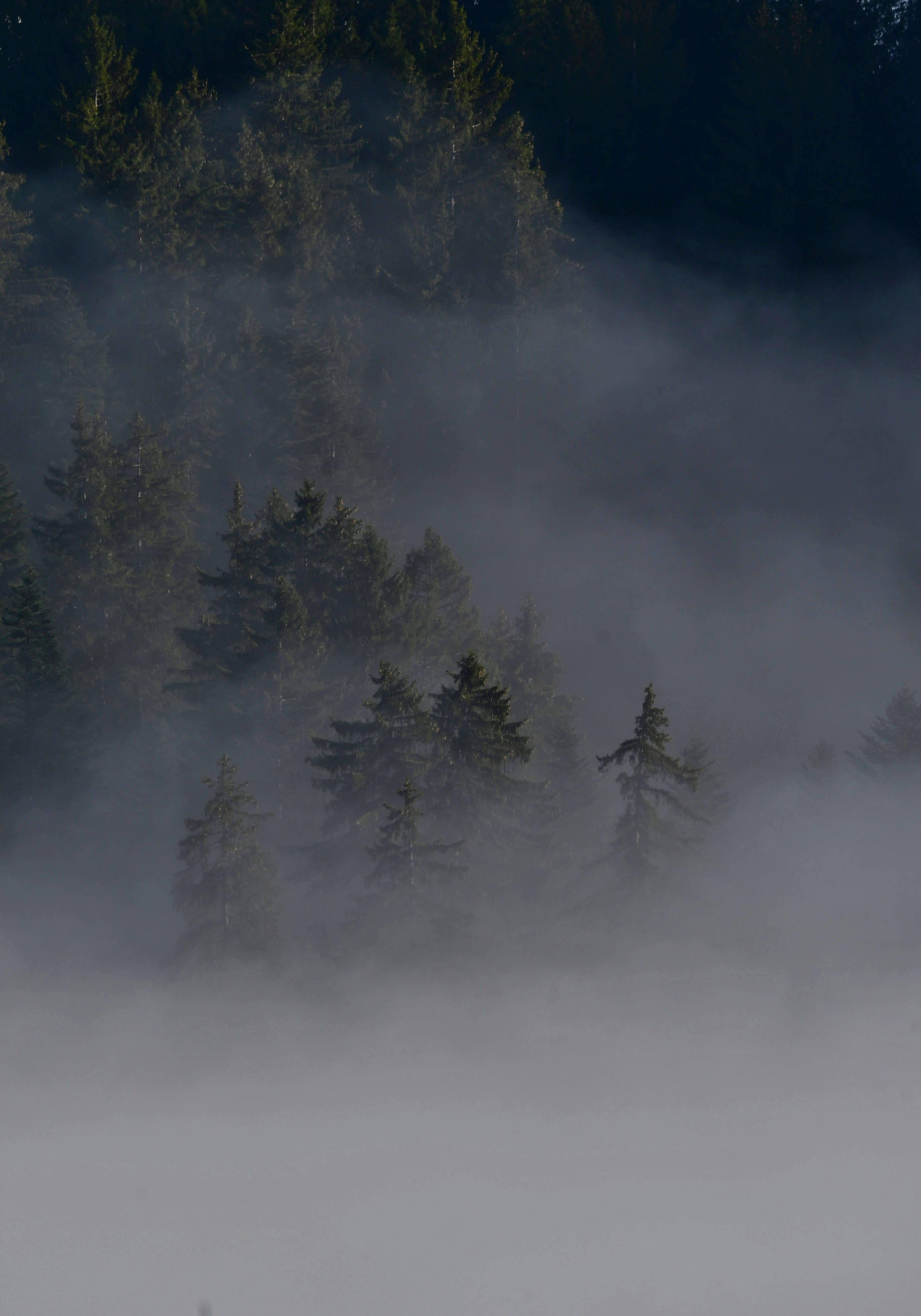 Photo by pedrino5_official