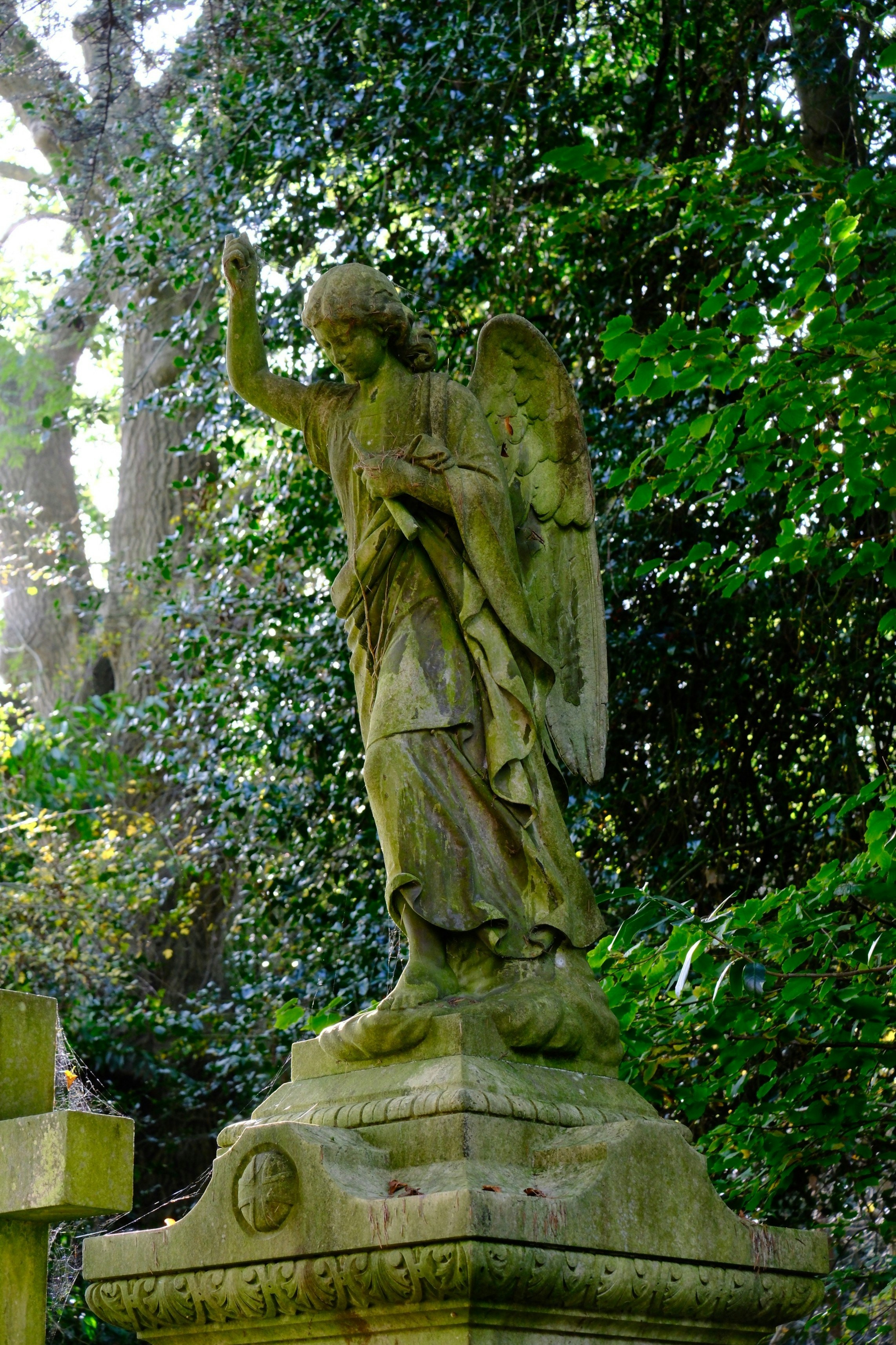 Photo by nikoverbeke