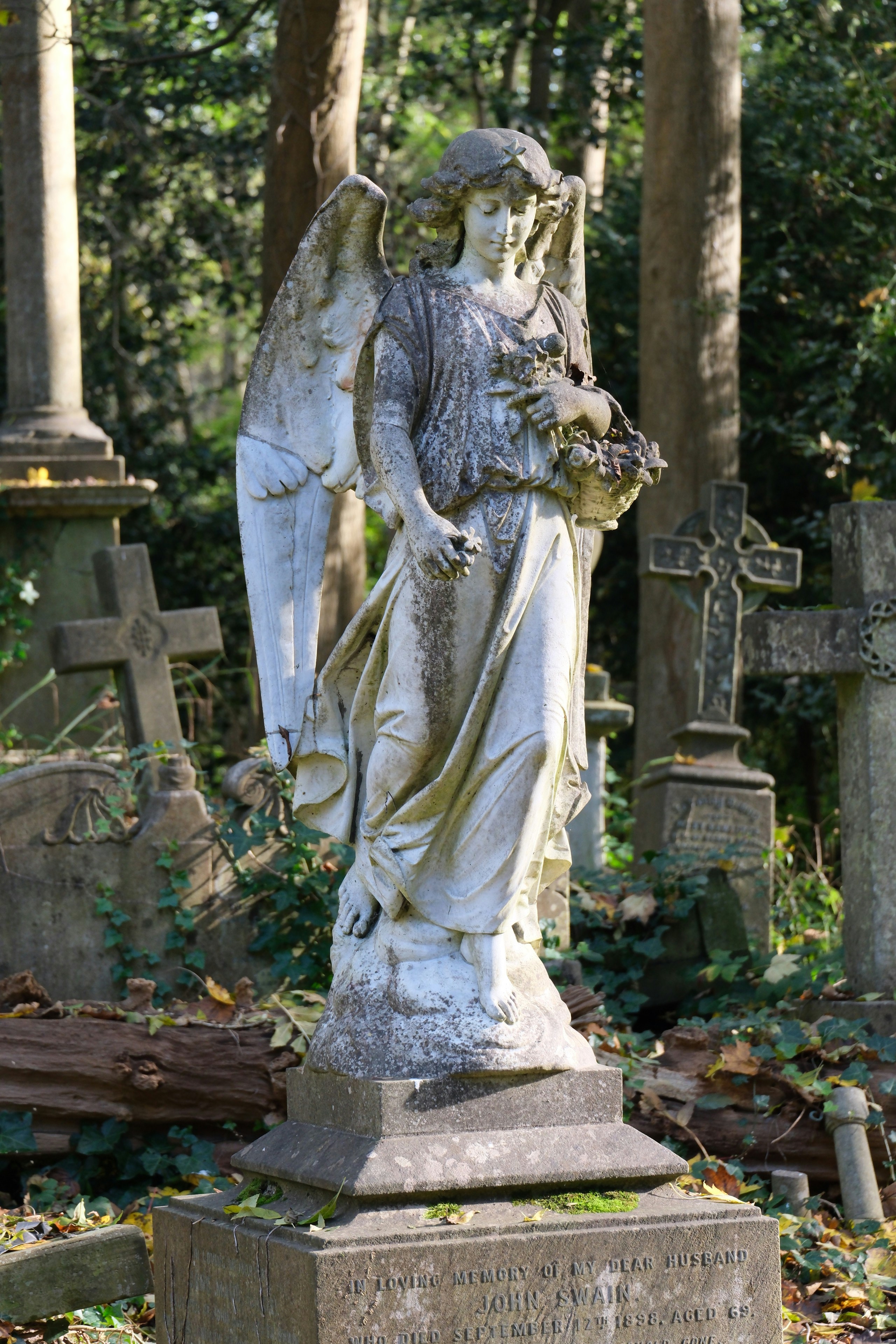 Photo by nikoverbeke