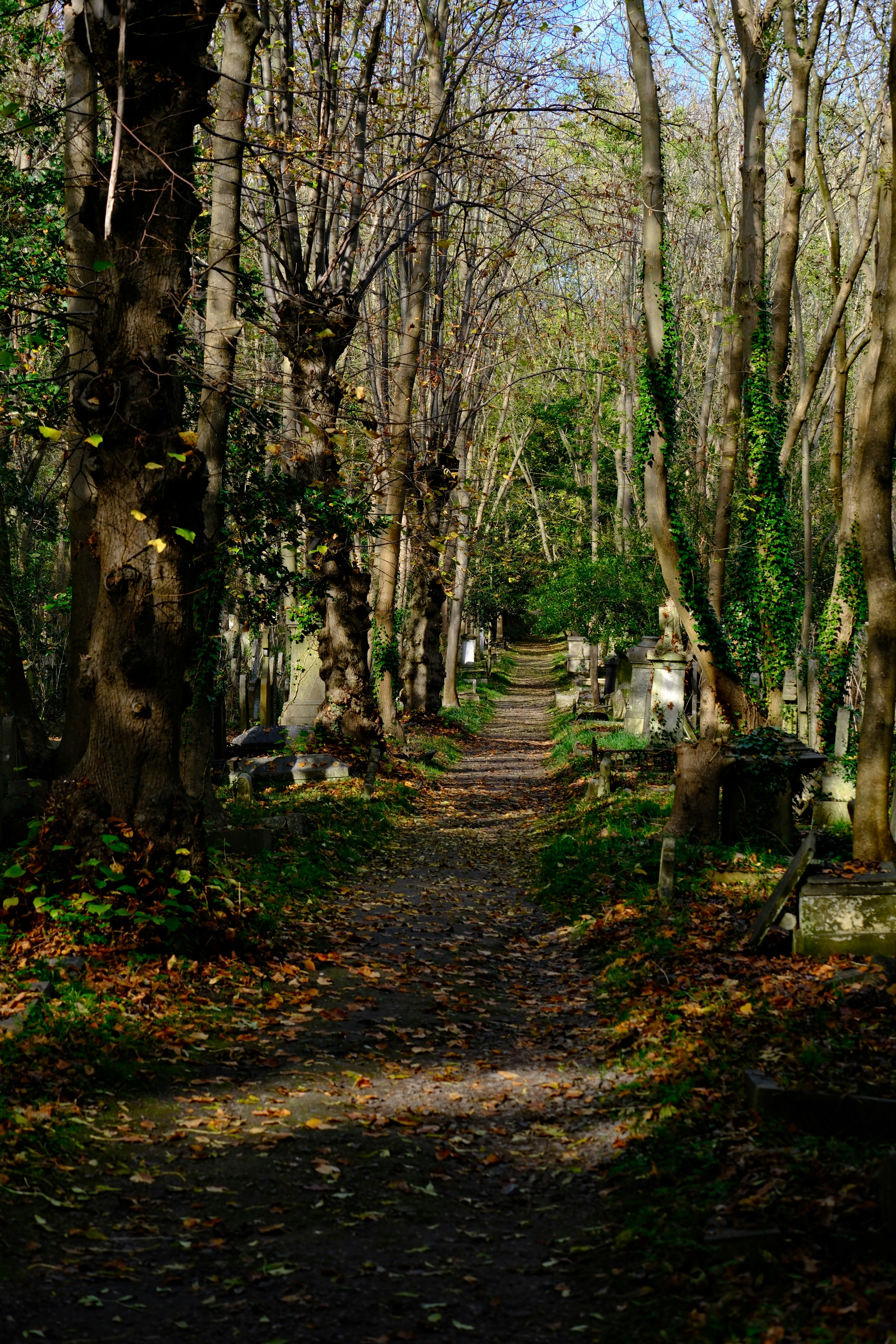 Photo by nikoverbeke