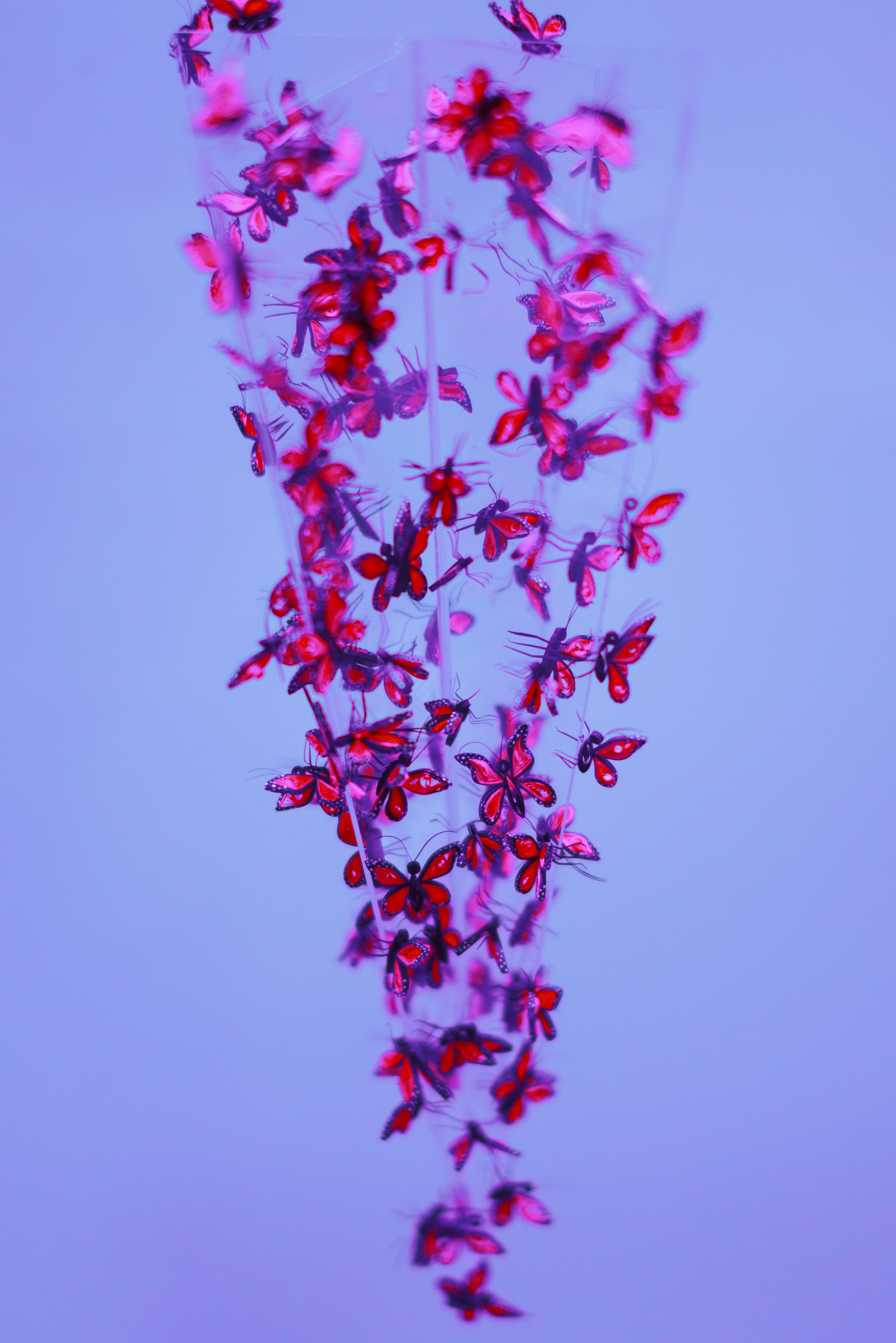 Photo by ishalyminov