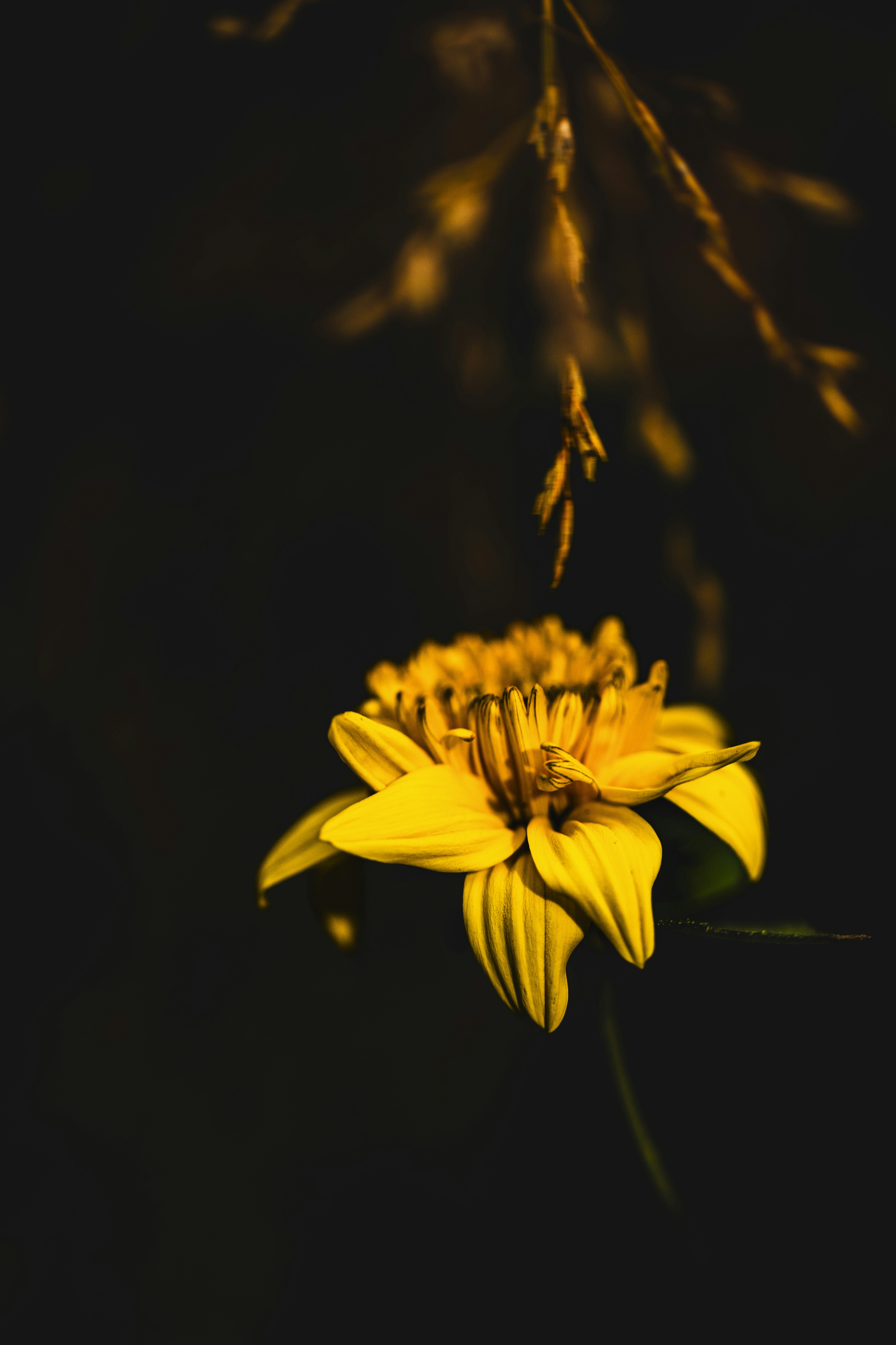 Photo by stef_enheart