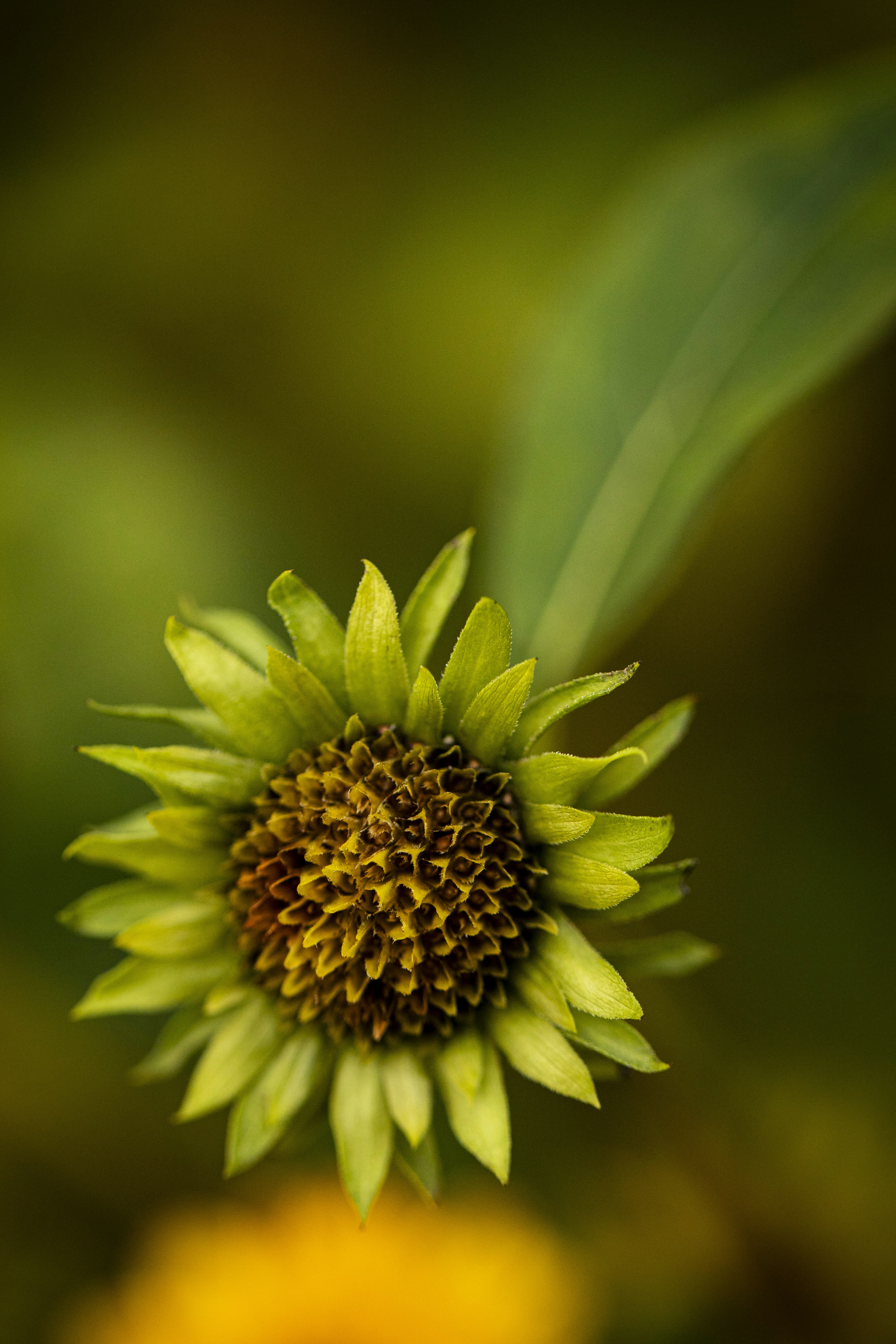 Photo by stef_enheart