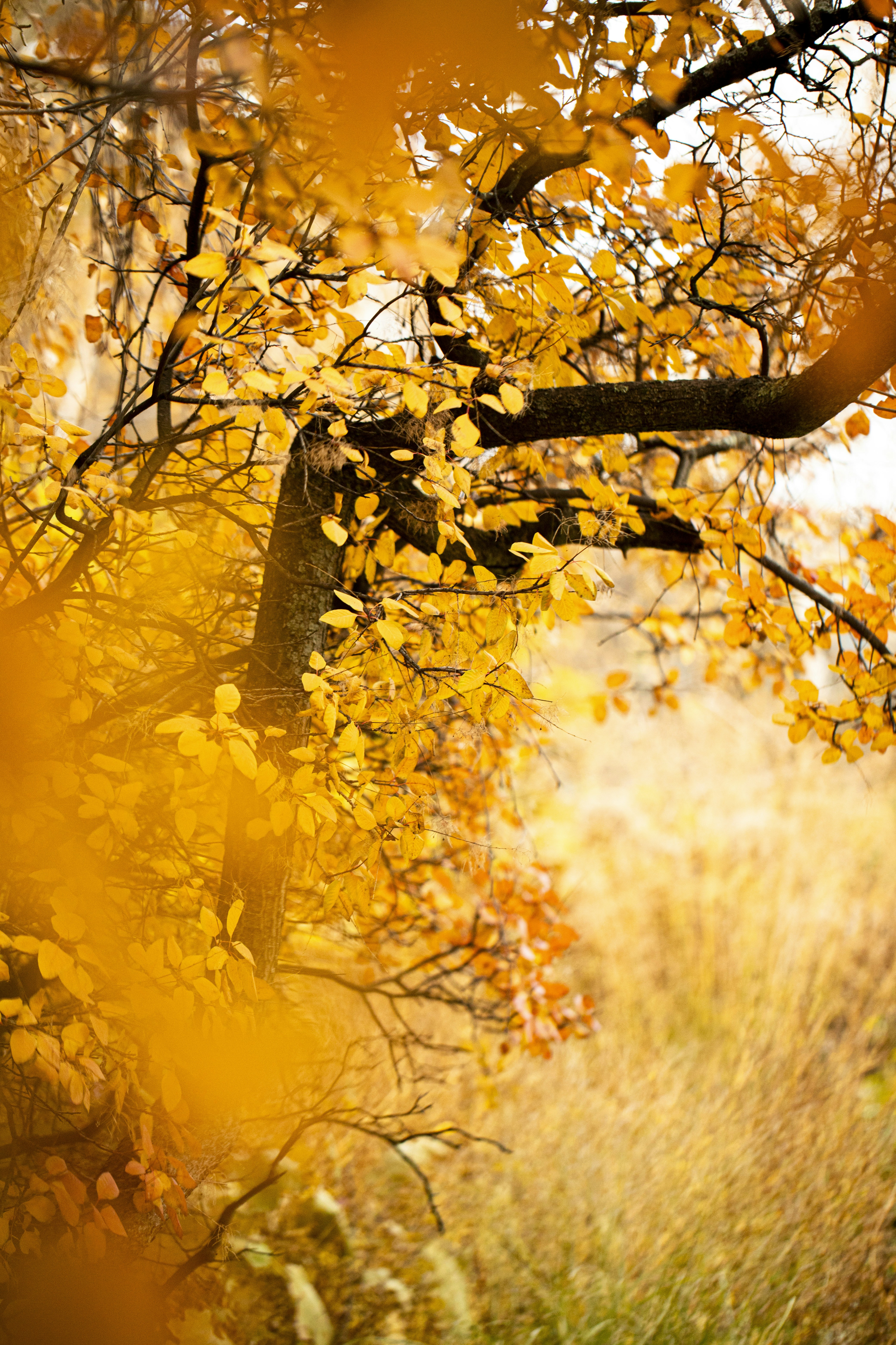 Photo by stef_enheart