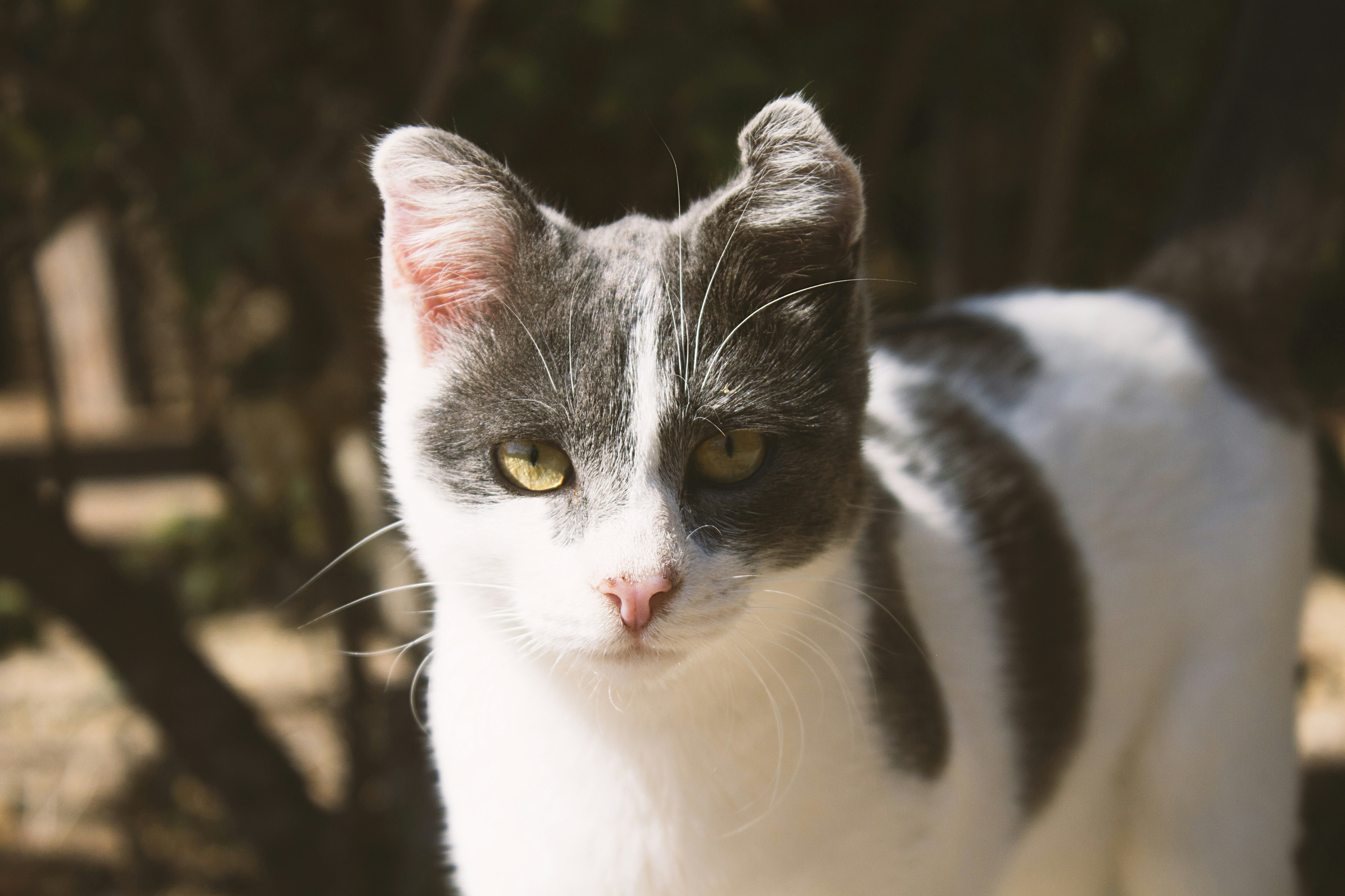 Photo by luke_photography