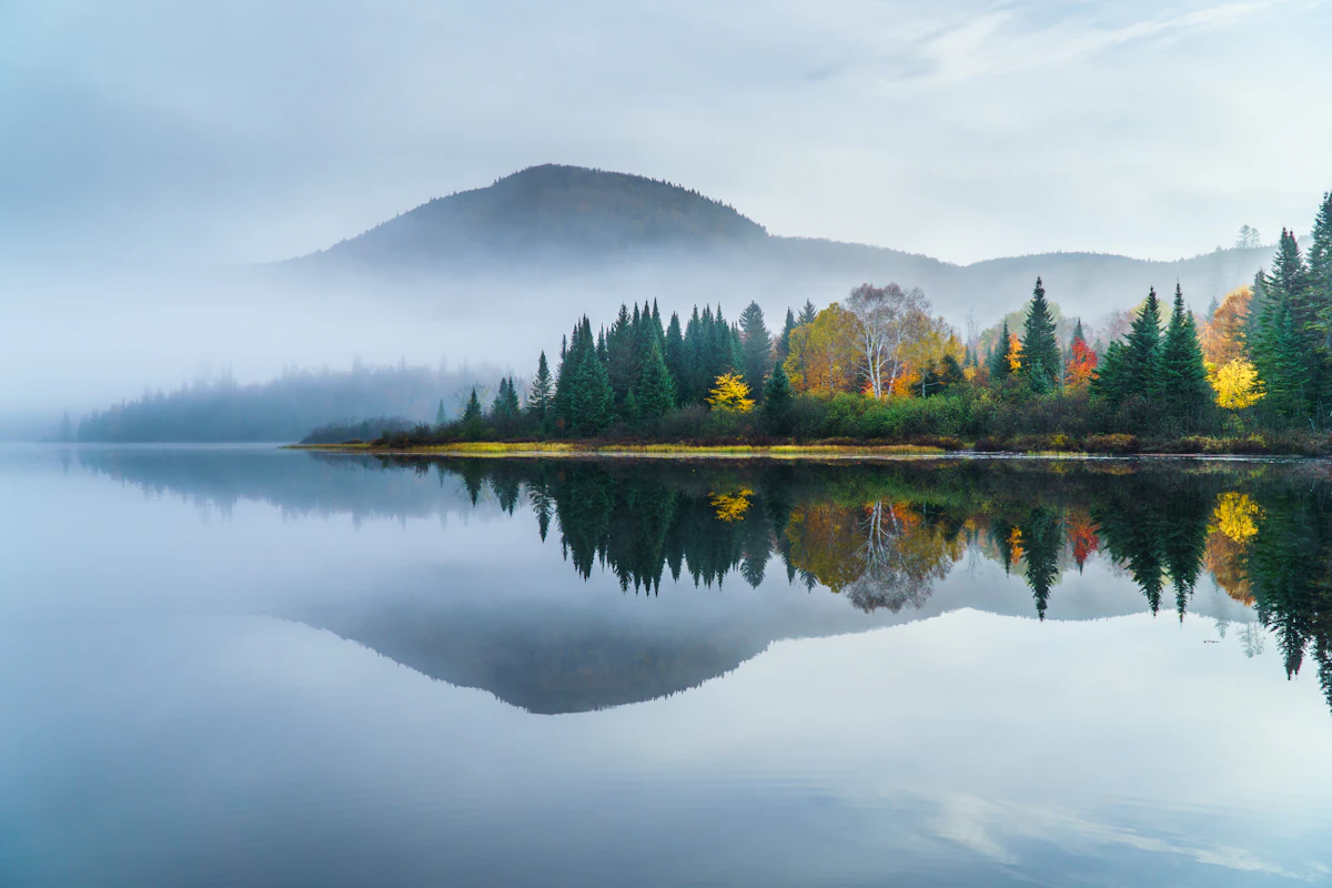 Mist over a lake surrounded by forest