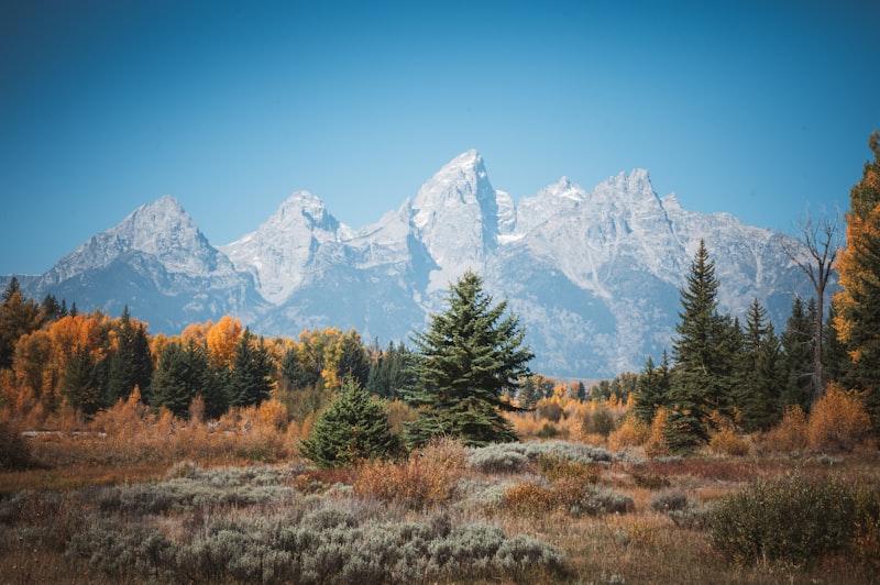 Jackson Hole Wyoming - Grand Teton Locksmith Service Area