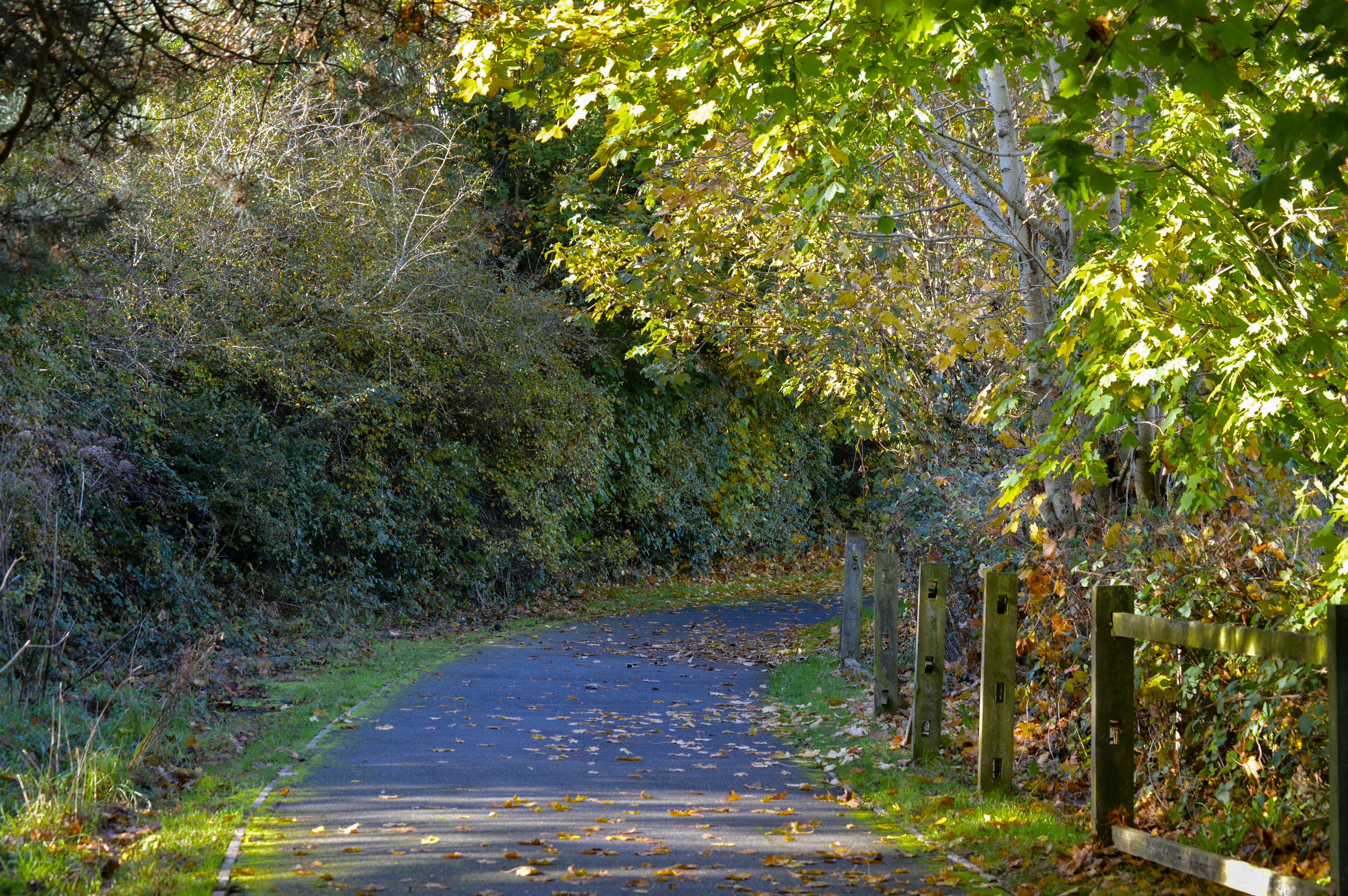 Photo by viktorijaniki