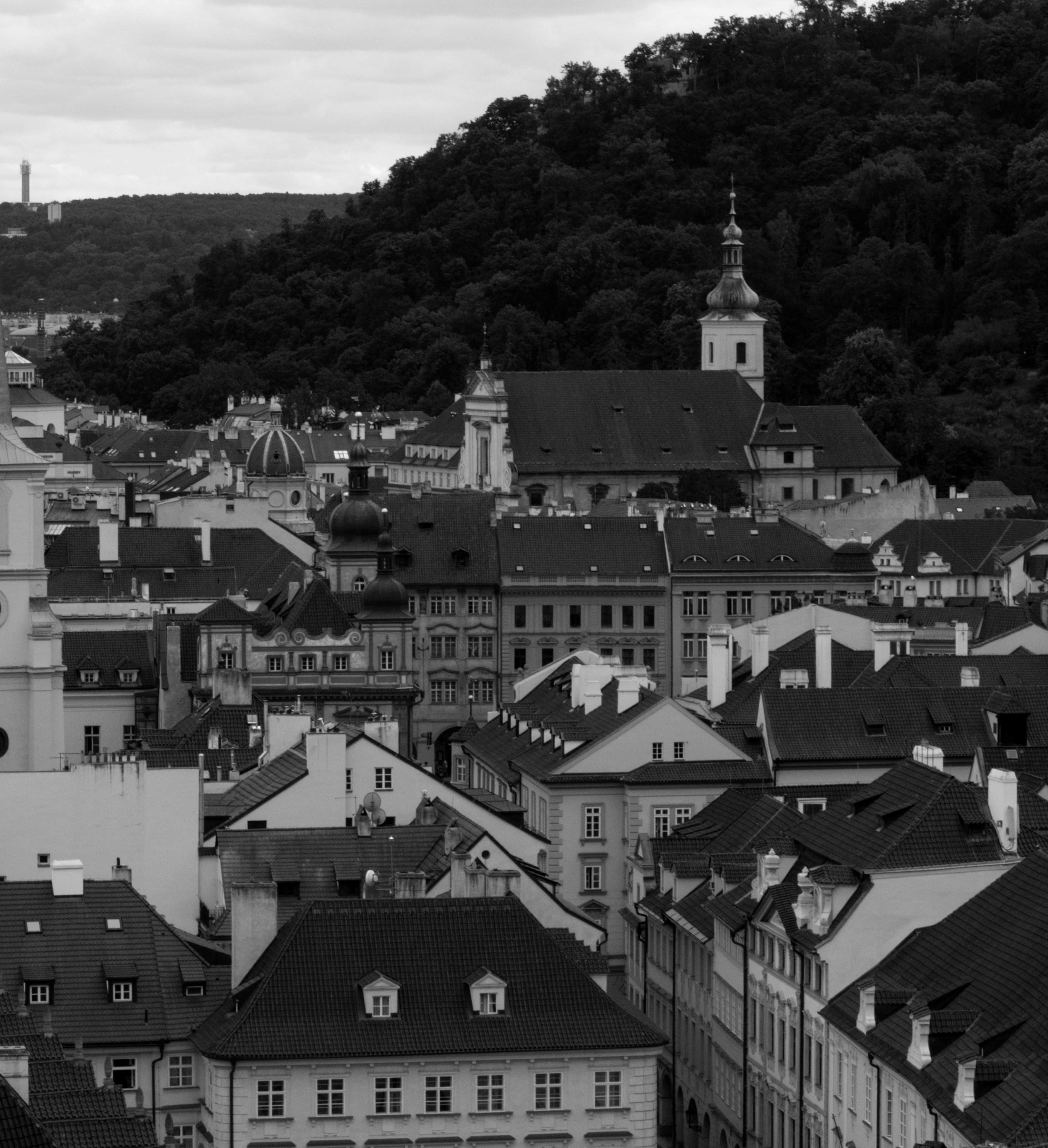 Photo by poppy_waddington