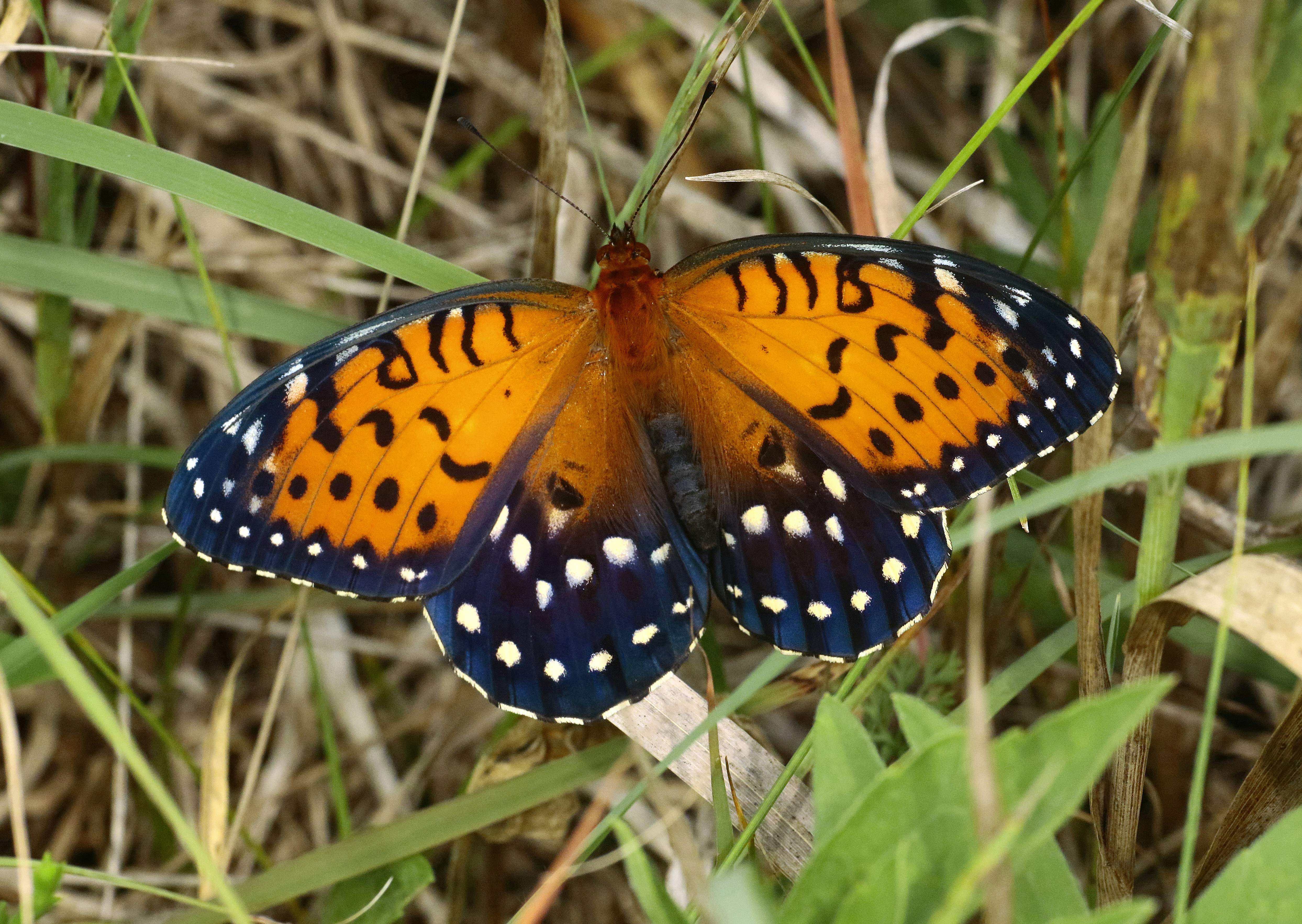 Photo by telliottmbamsc