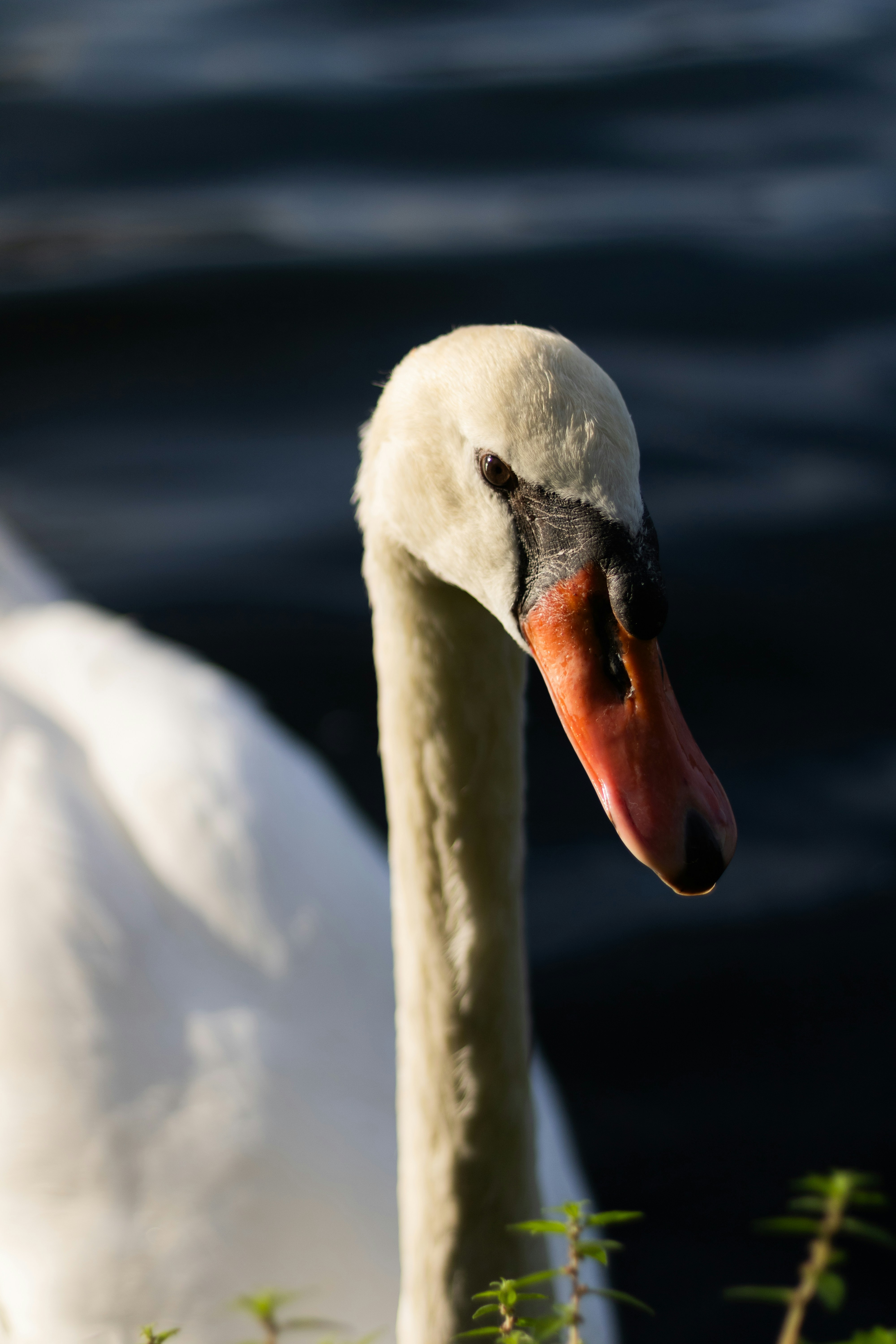 Photo by navarrovisuals