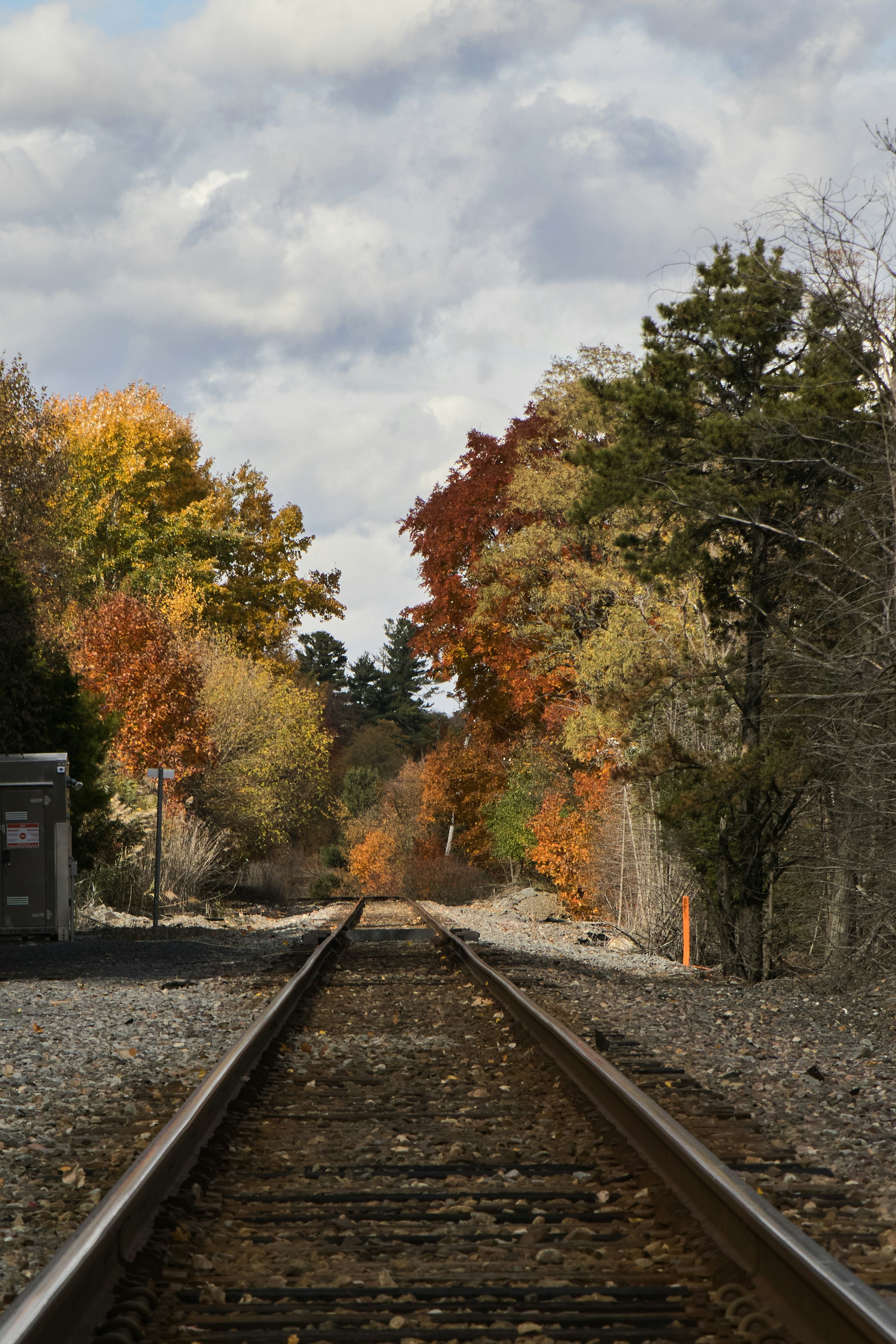 Photo by skyfly_rich