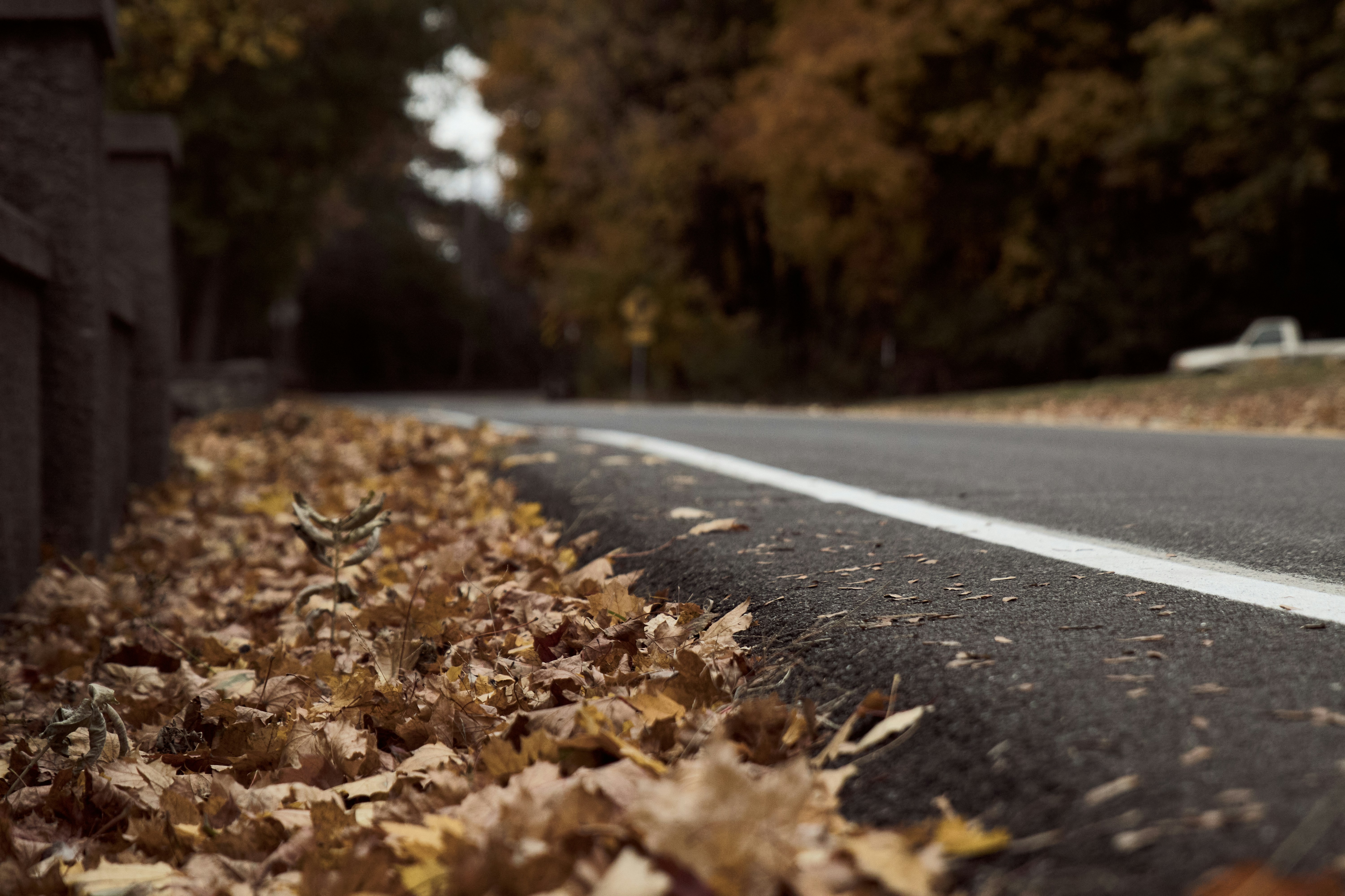 Photo by skyfly_rich