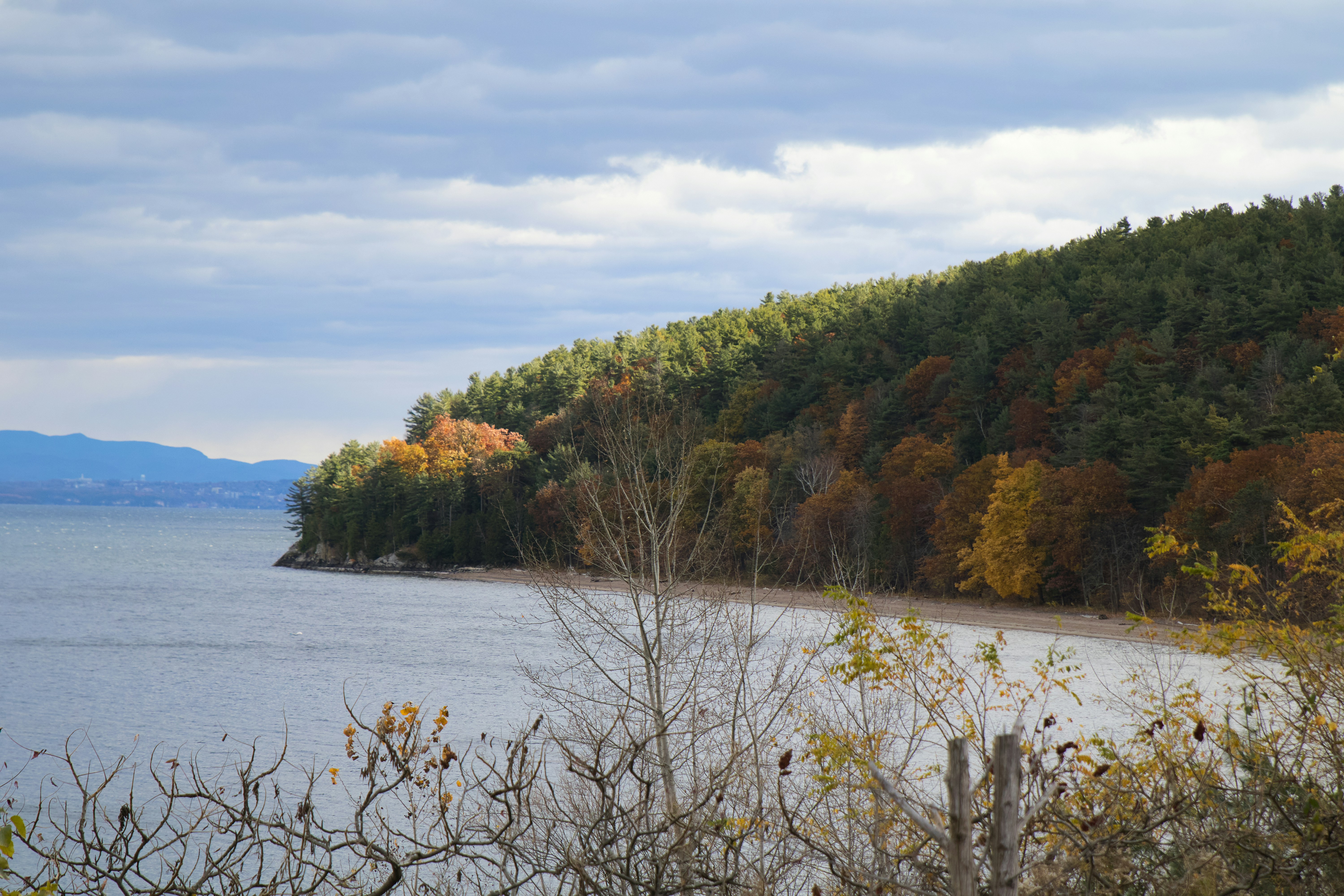 Photo by skyfly_rich