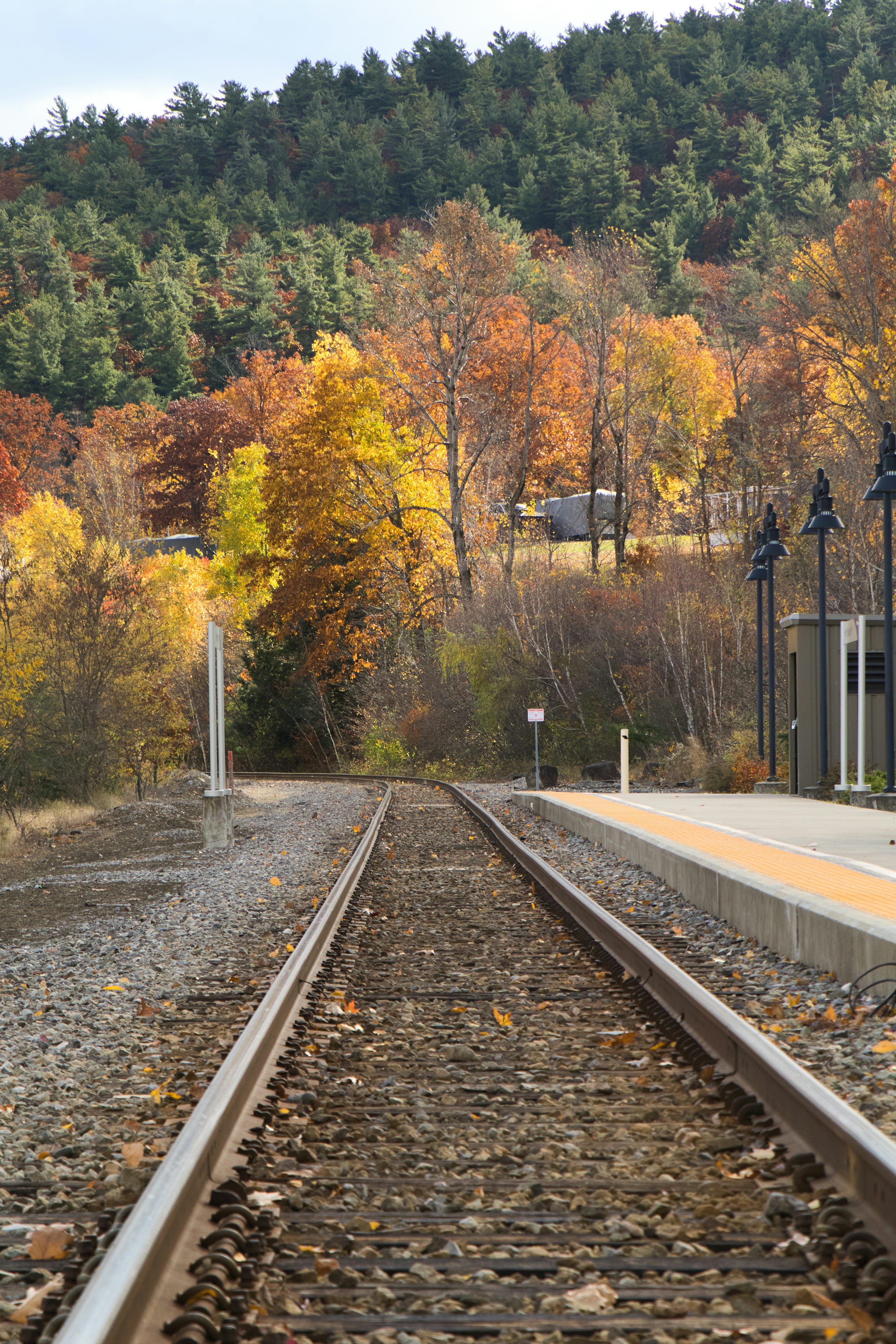 Photo by skyfly_rich