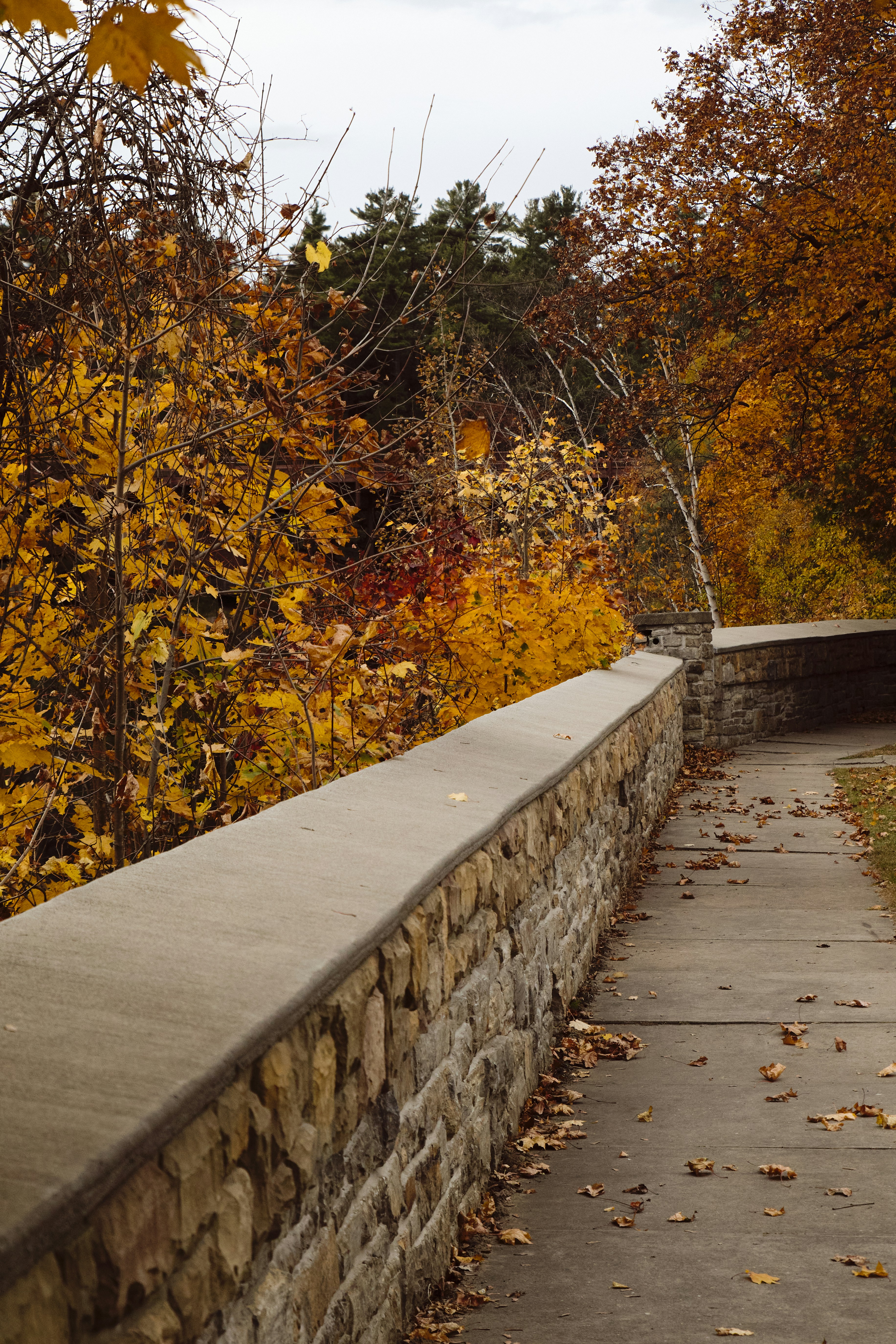 Photo by skyfly_rich