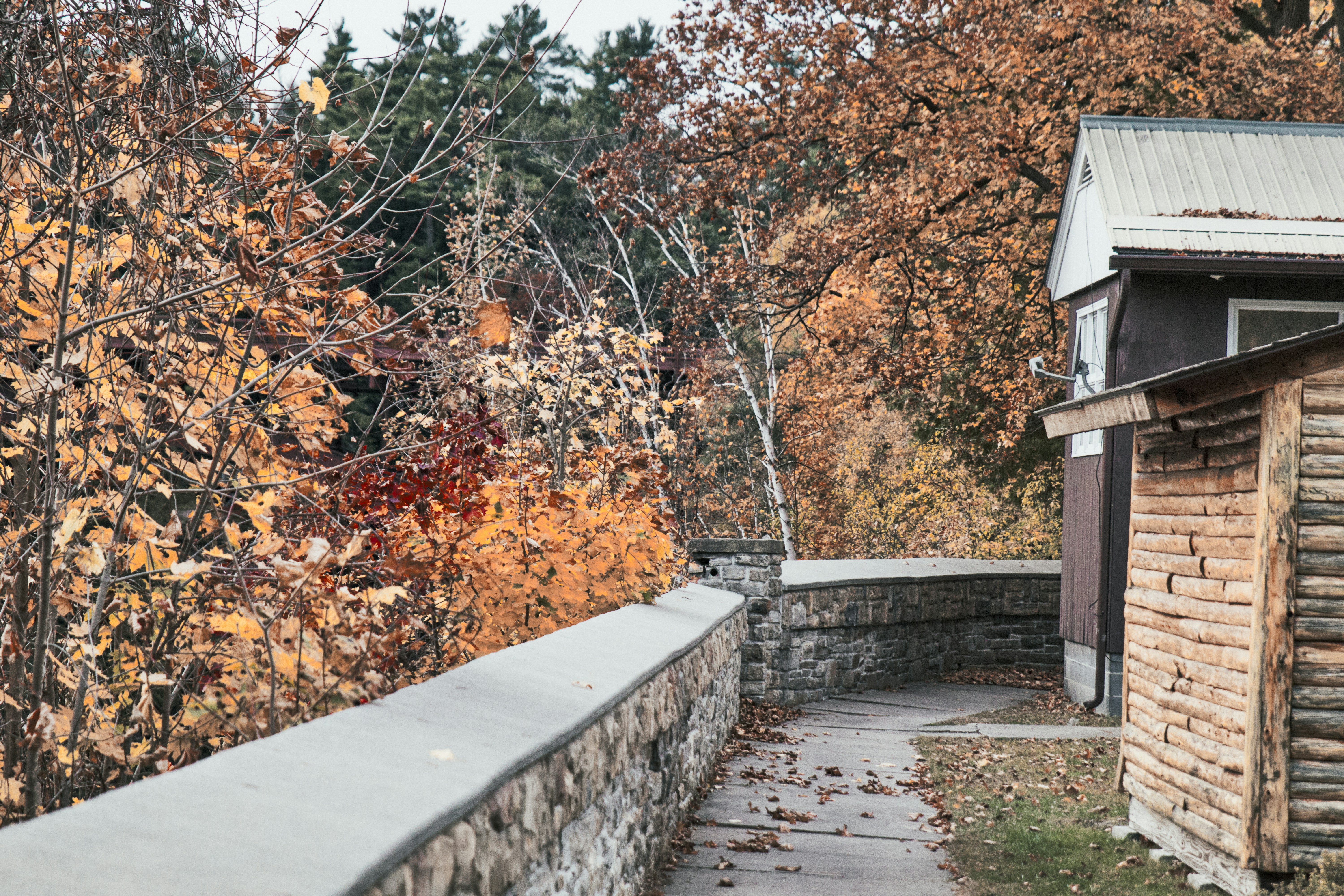 Photo by skyfly_rich