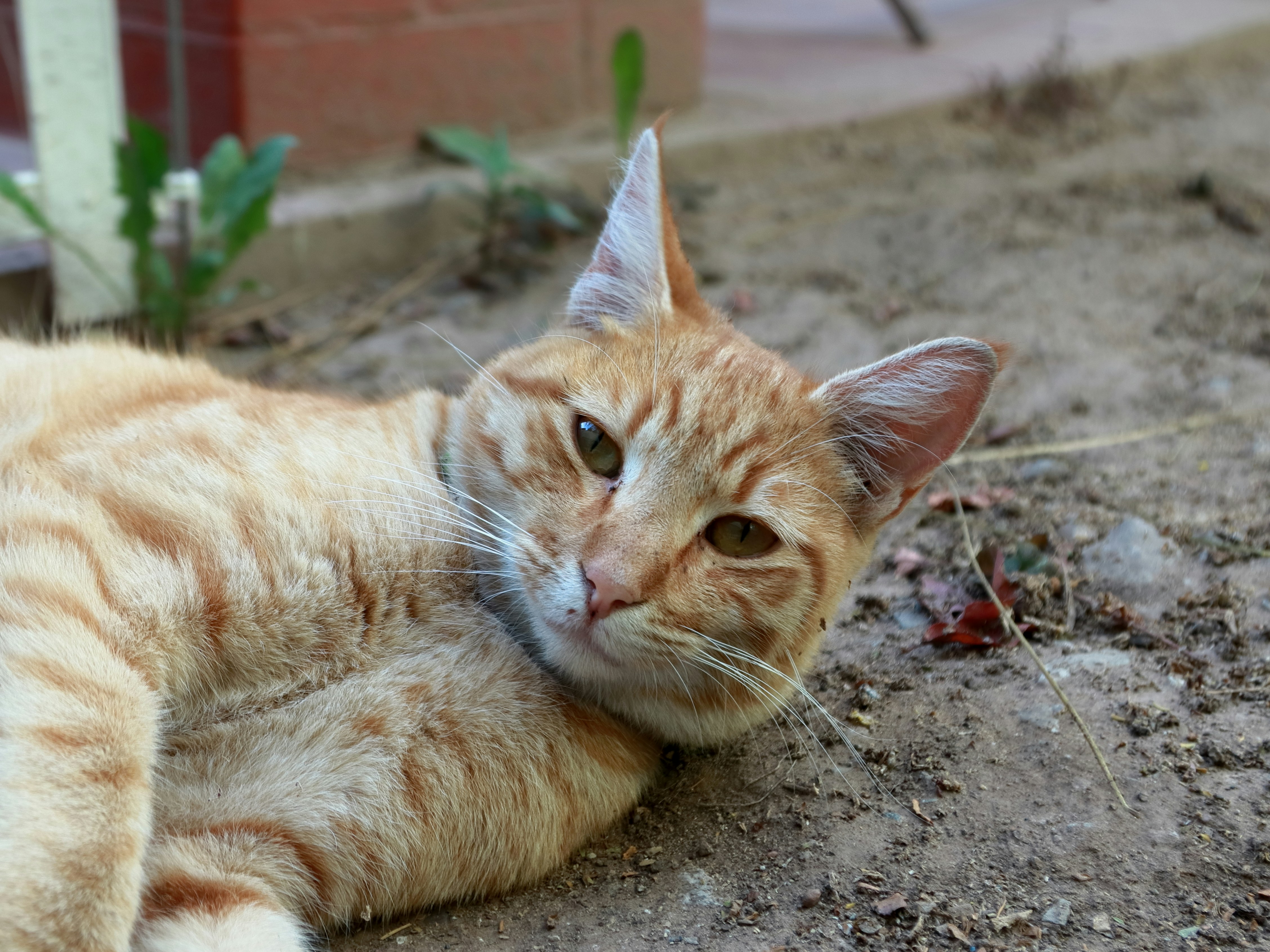 Photo by adelarivera