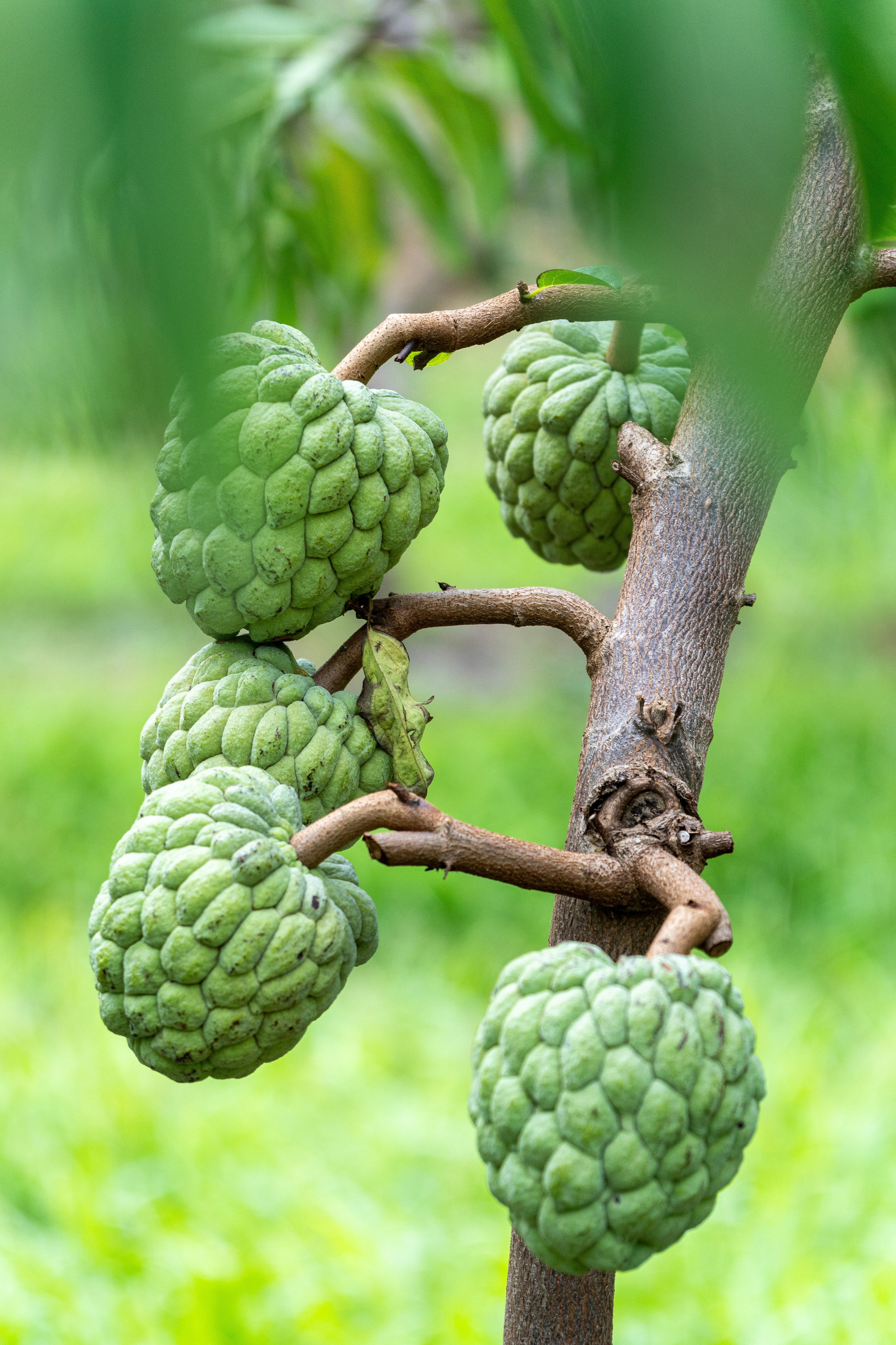 Photo by winstonchen