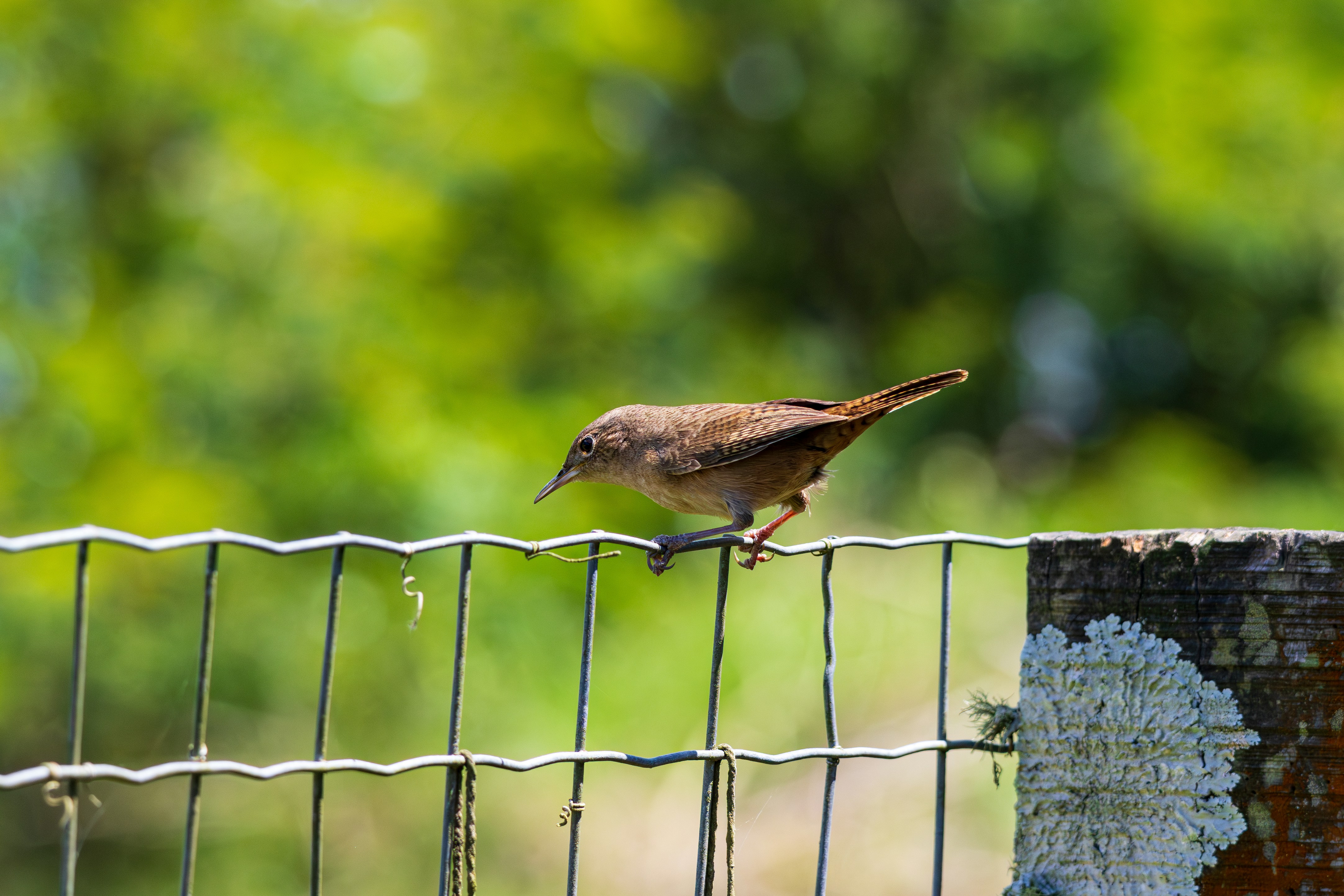 Photo by matheuskprot