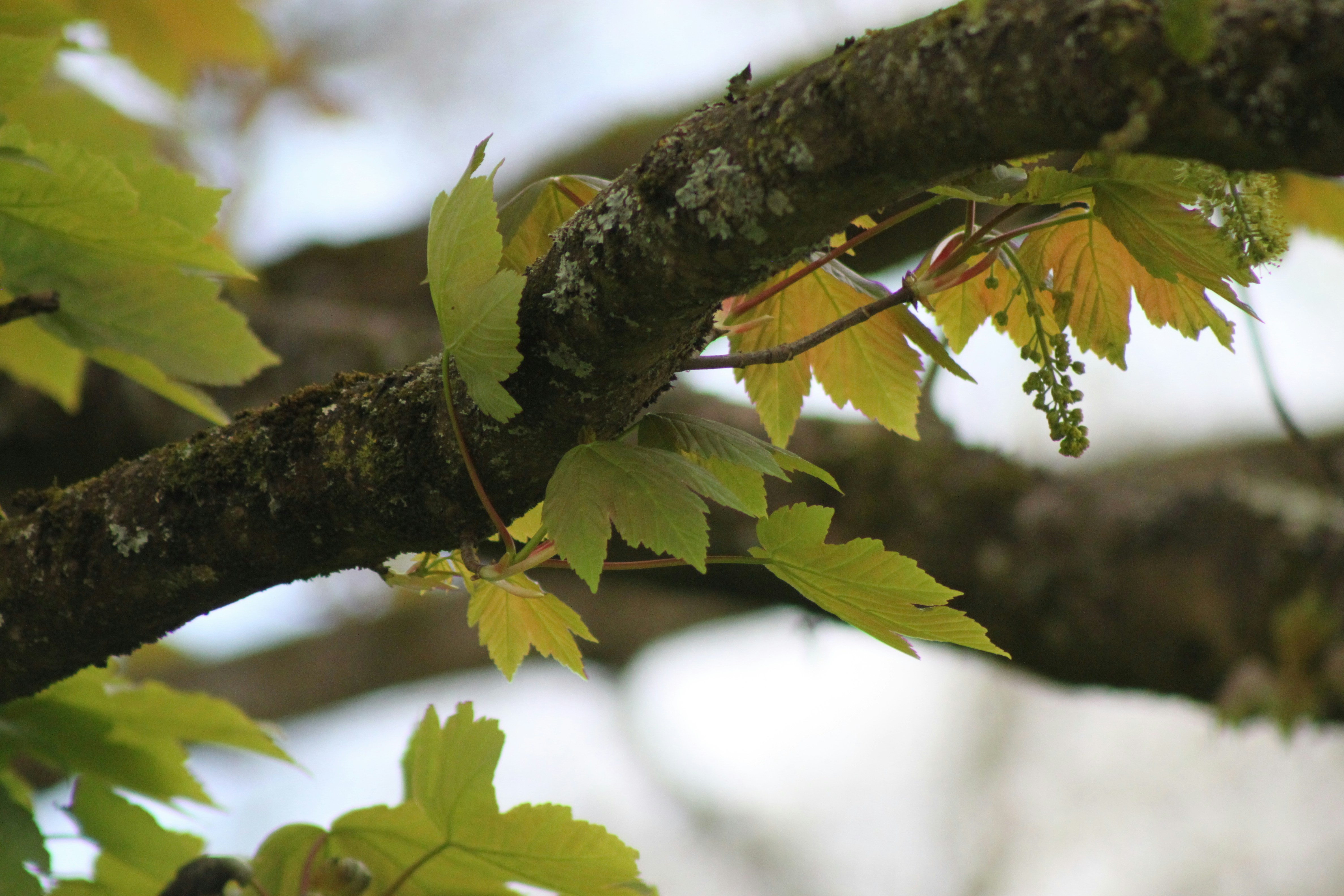 Photo by rubyphotography