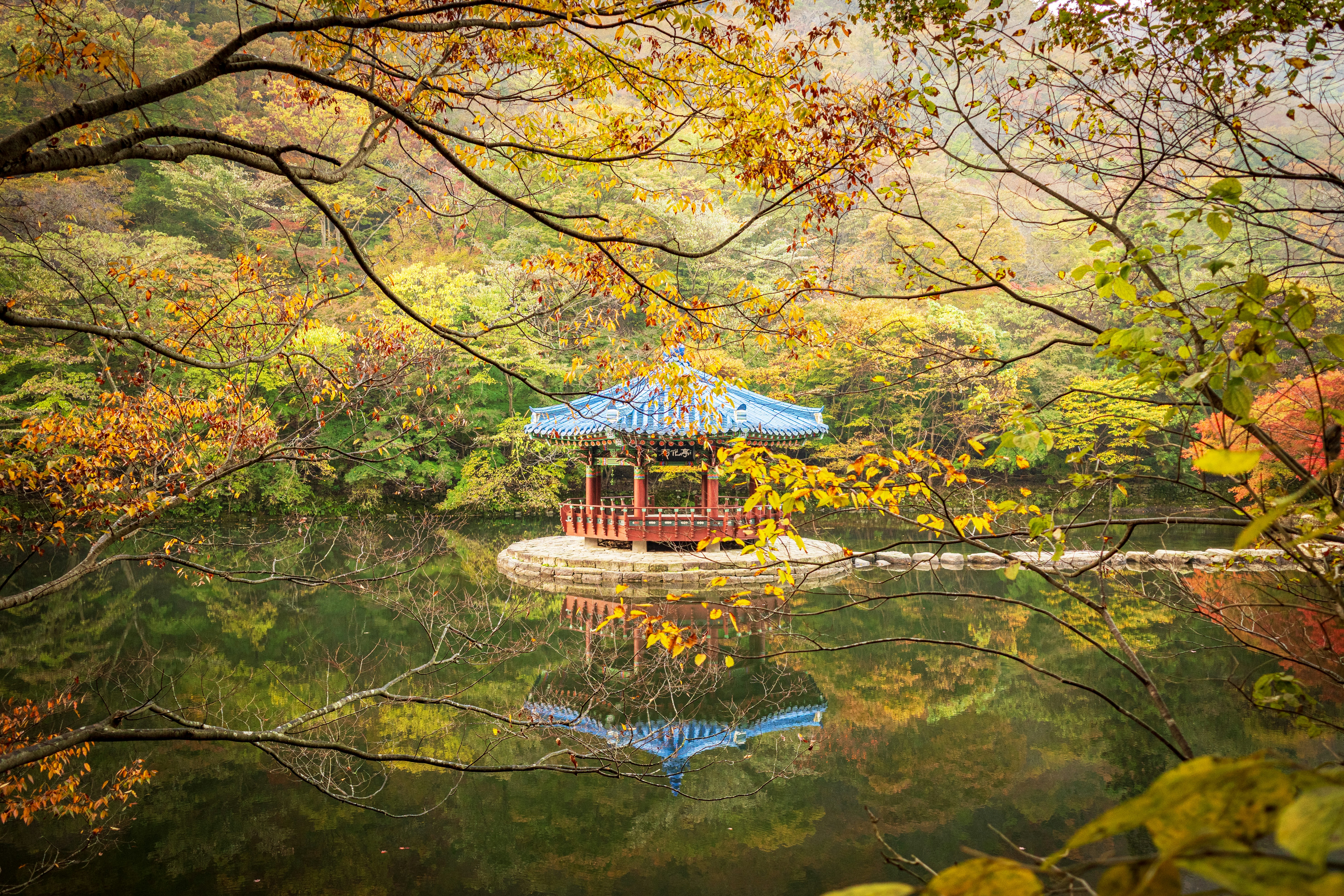 Korea Autumn Foliage: Best Destinations and Timing