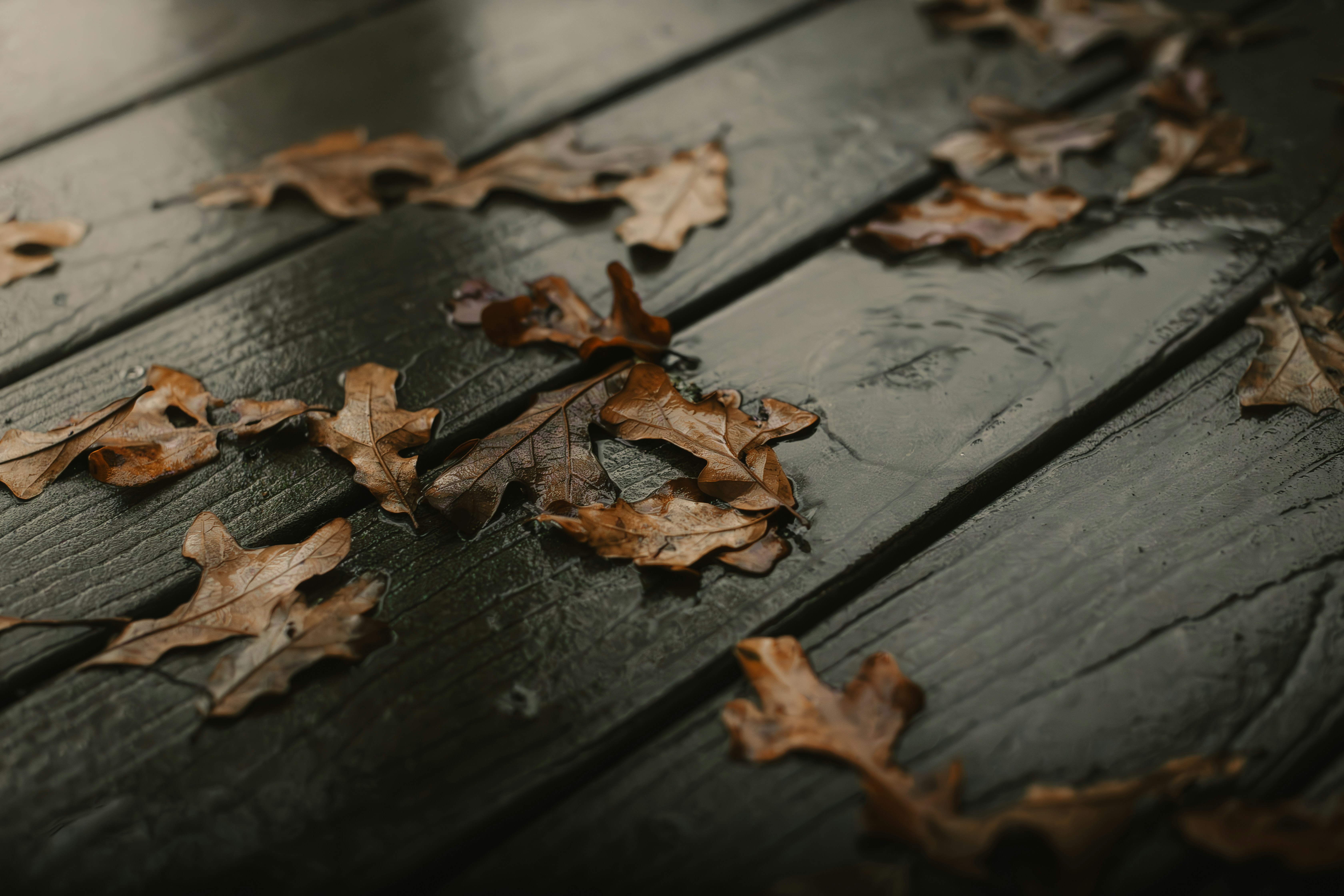 개인연금 수령 시 종합과세와 기타소득세, 어떤 선택이 더 유리할까?