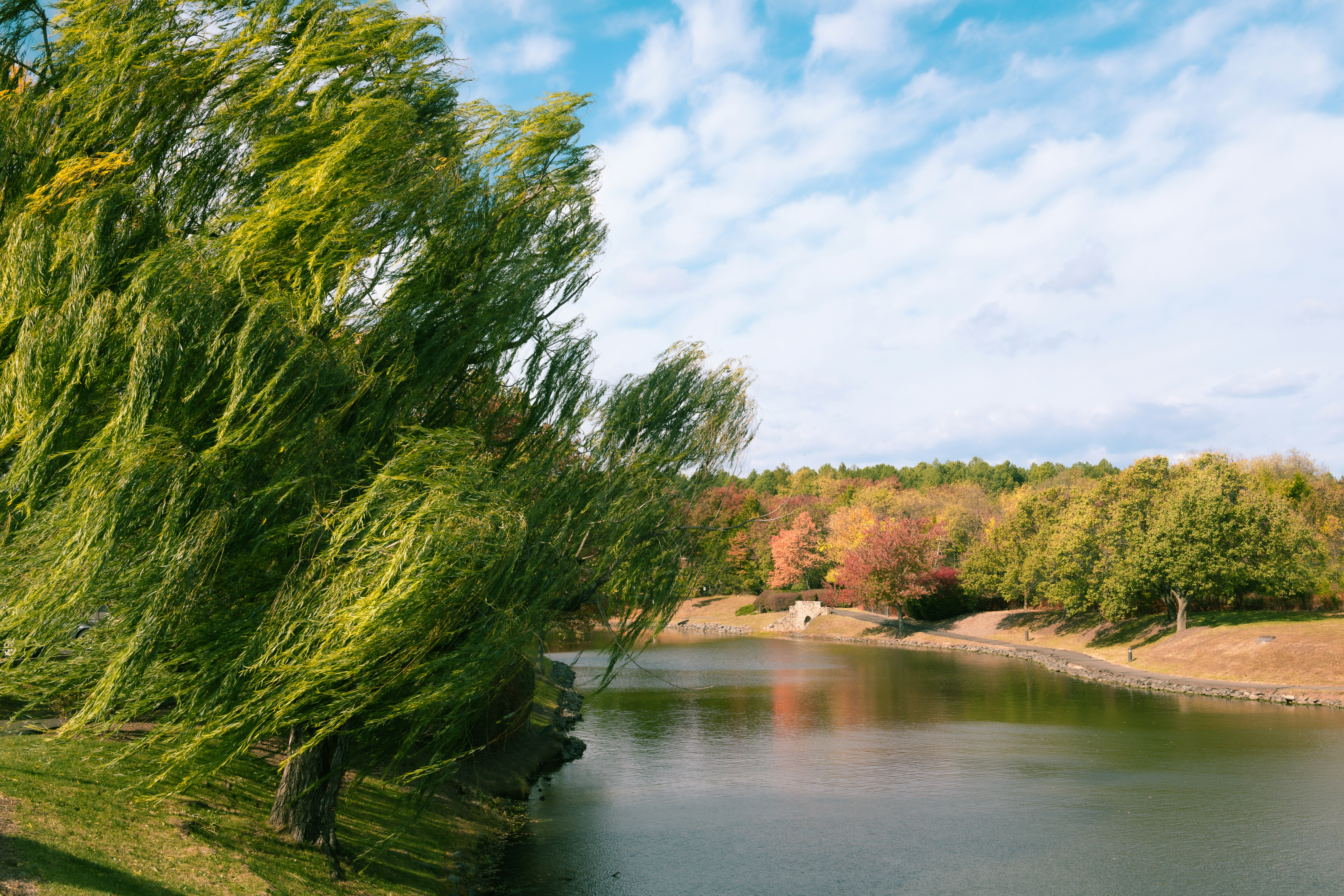 Photo by sriniunsplash