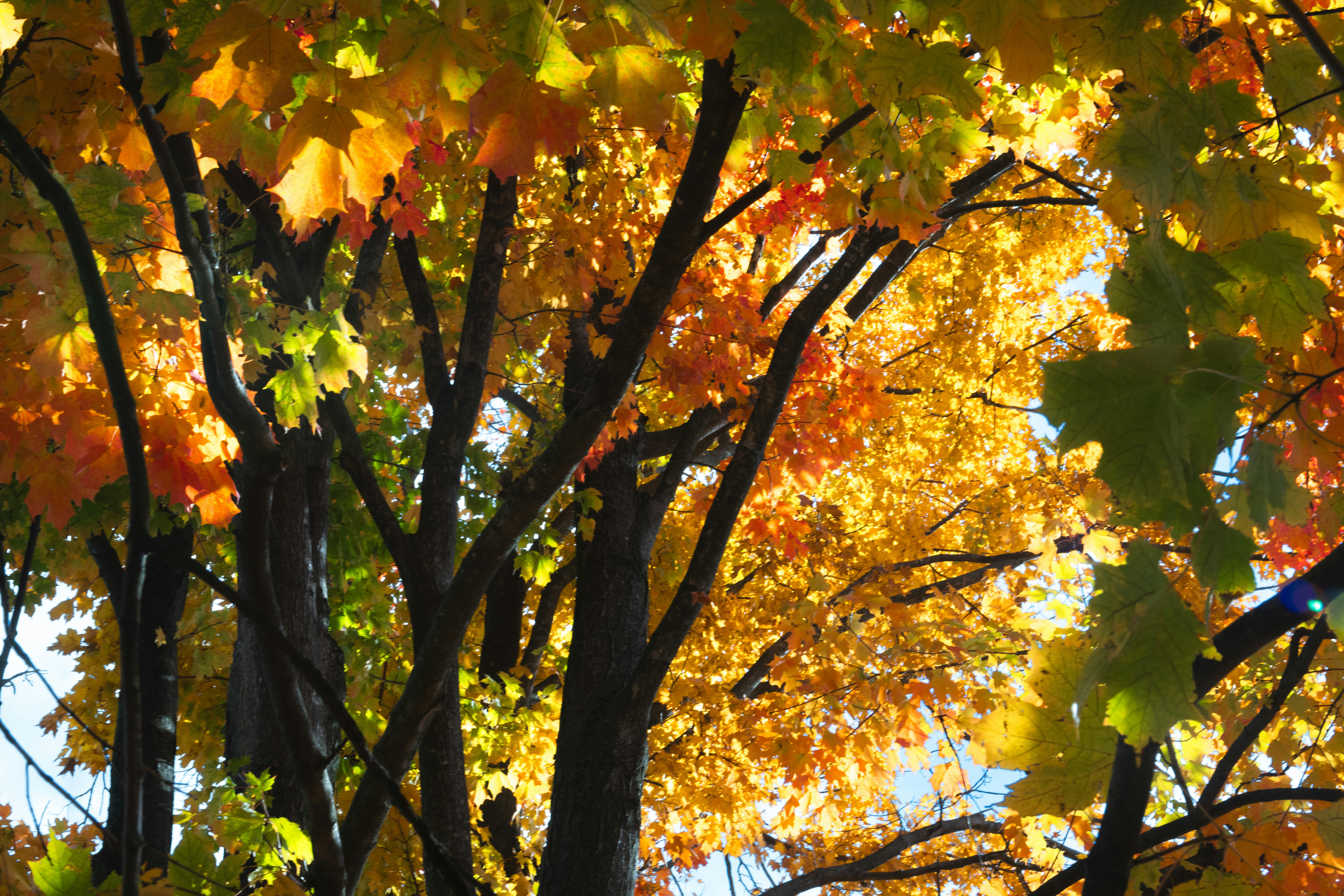 Photo by sriniunsplash