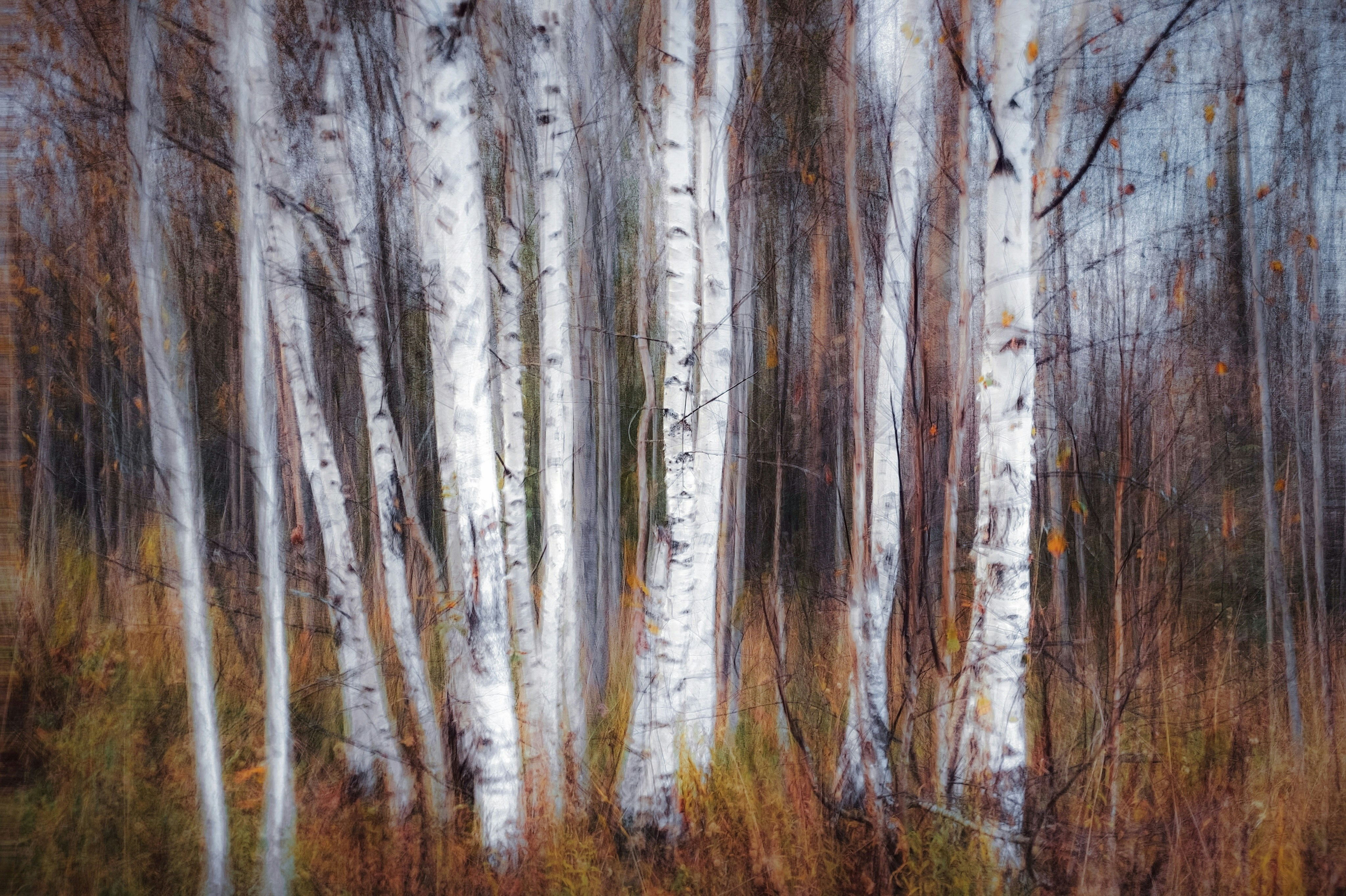 Photo by eugene_golovesov