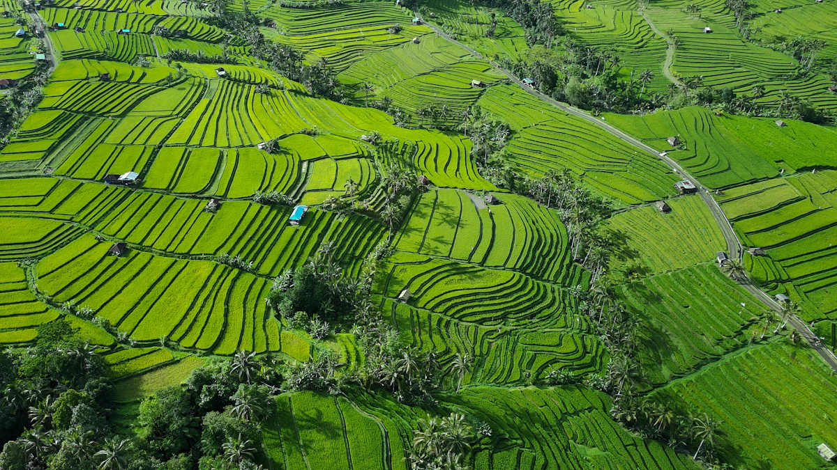 Jatiluwih Subak Terraces E-Bike & Tanah Lot Temple Tour
